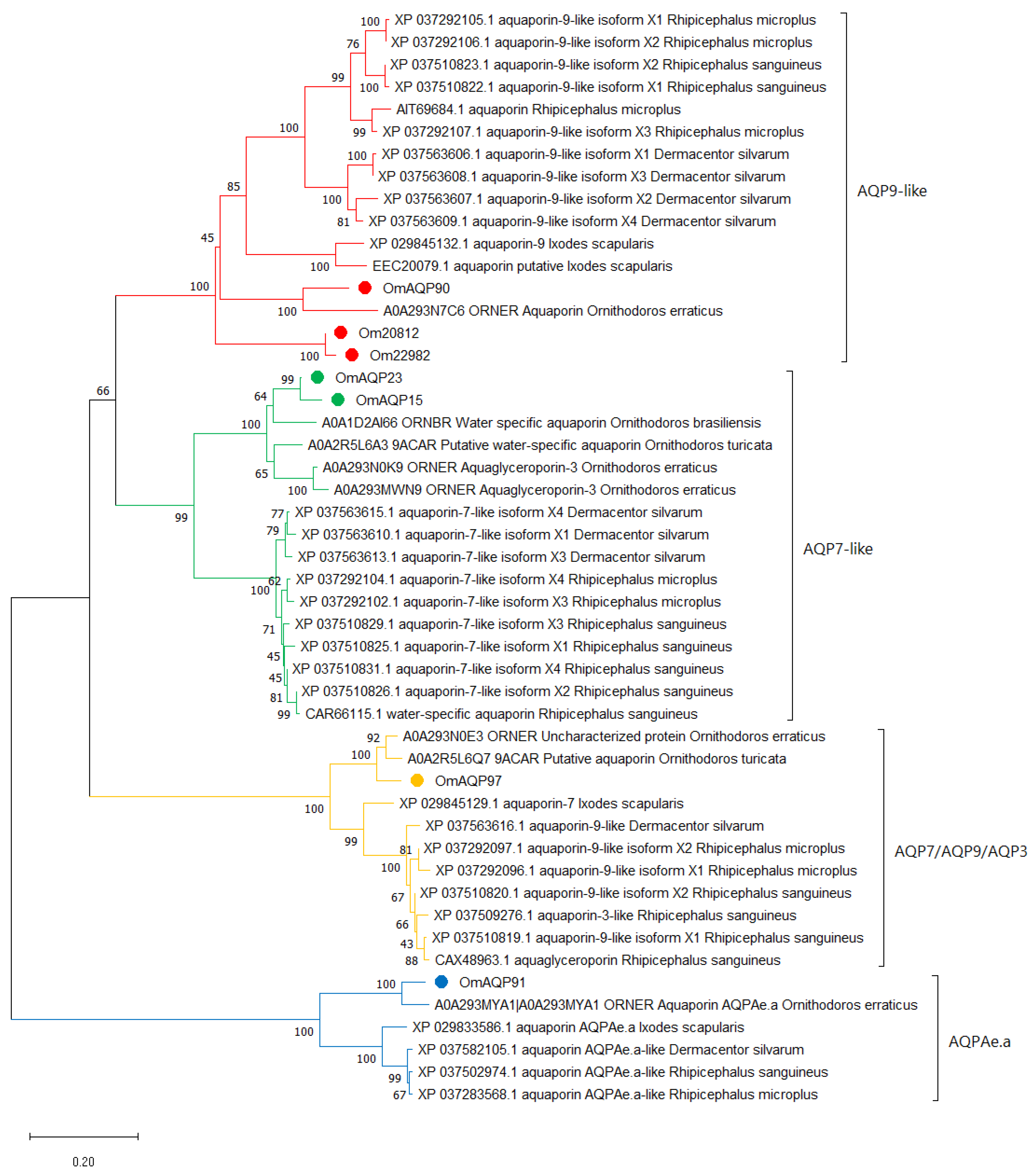 Pathogens 11 00694 g002 Pathogens 11 00694 g002