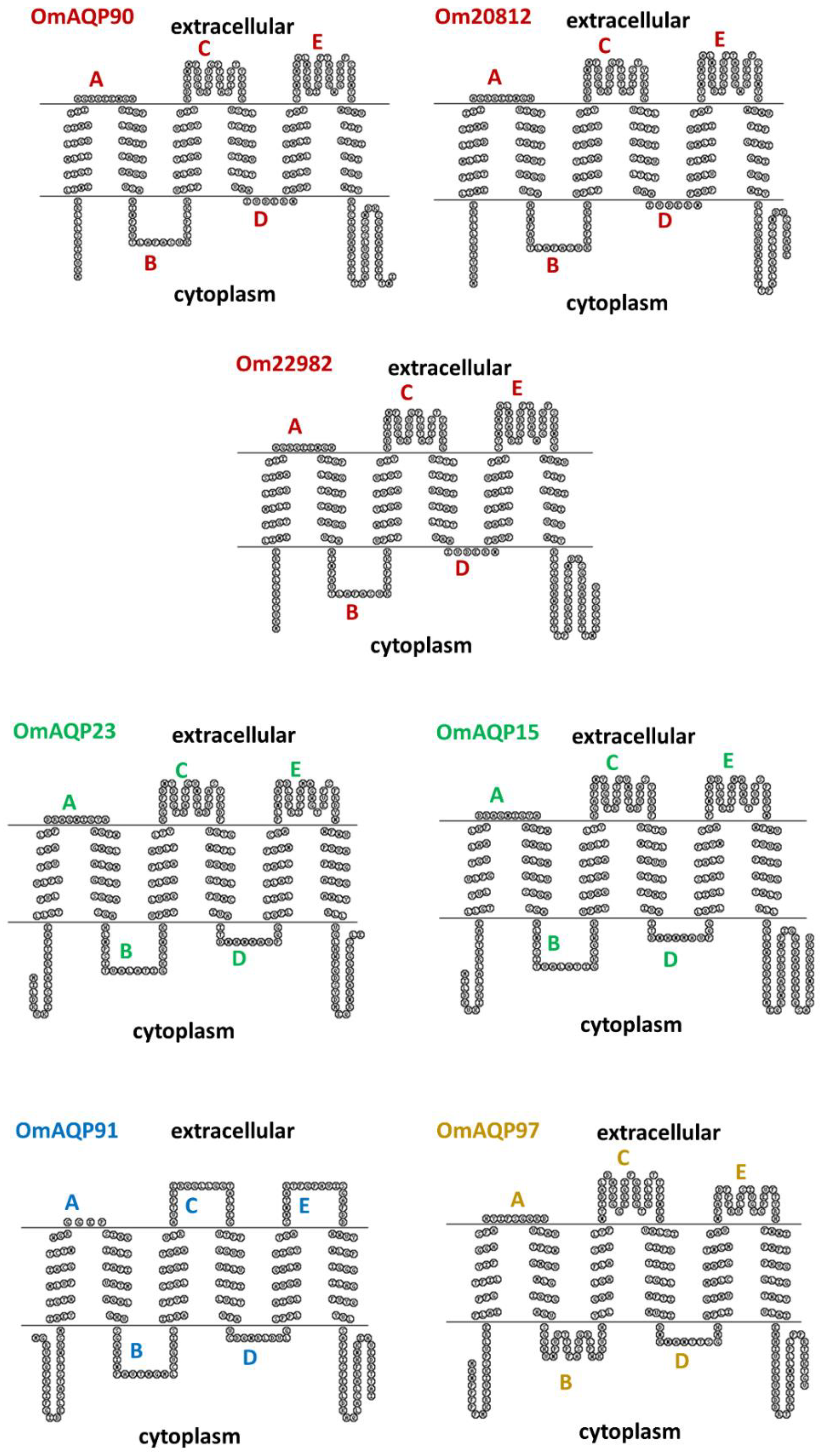 Pathogens 11 00694 g003 Pathogens 11 00694 g003