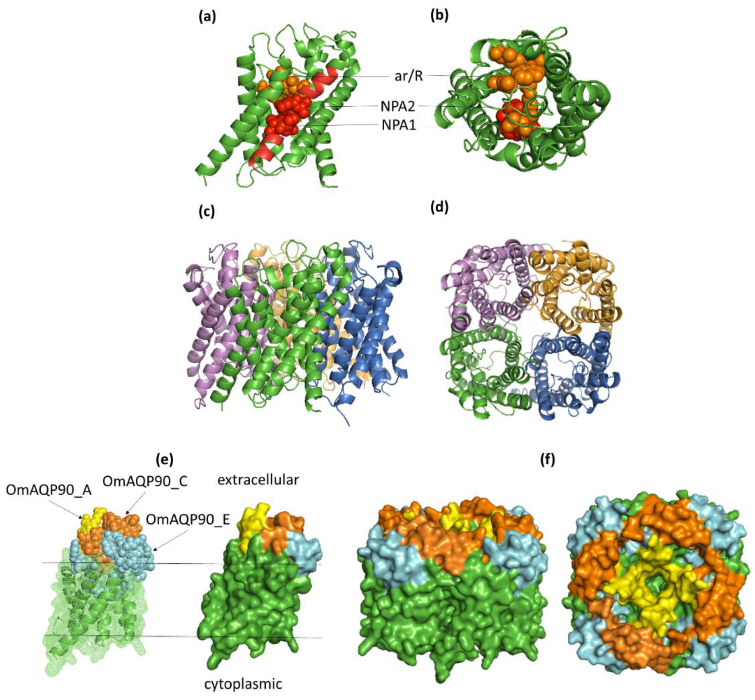 Pathogens 11 00694 g004 Pathogens 11 00694 g004