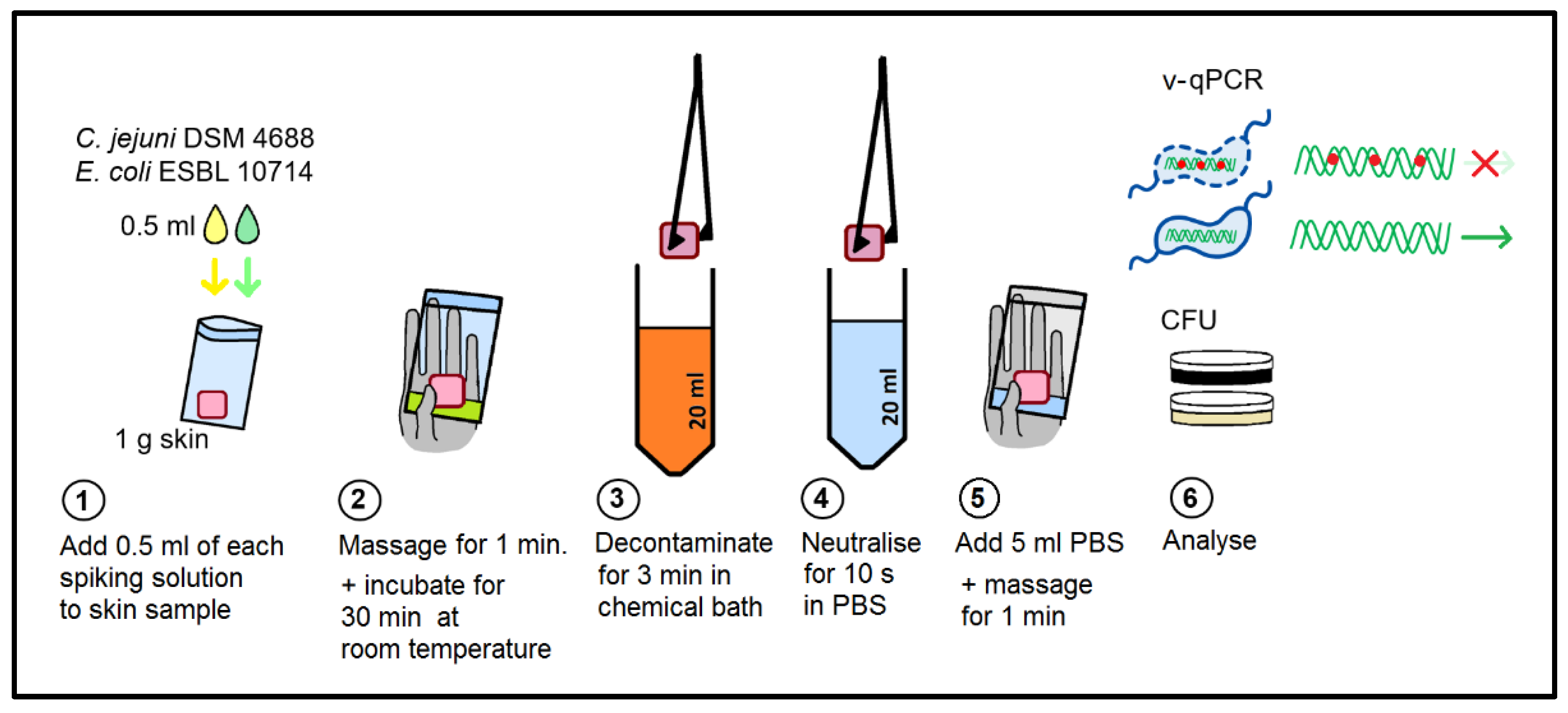 Pathogens 11 00706 g005 Pathogens 11 00706 g005