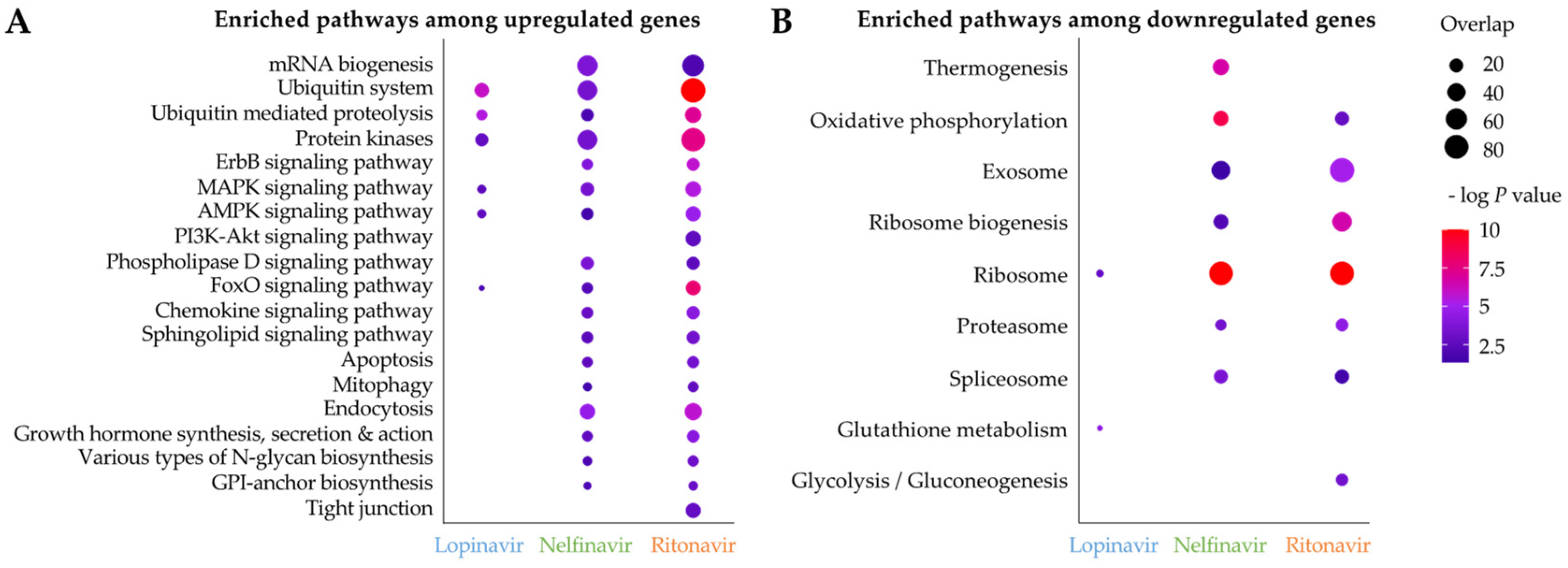 Pathogens 11 00707 g006 Pathogens 11 00707 g006