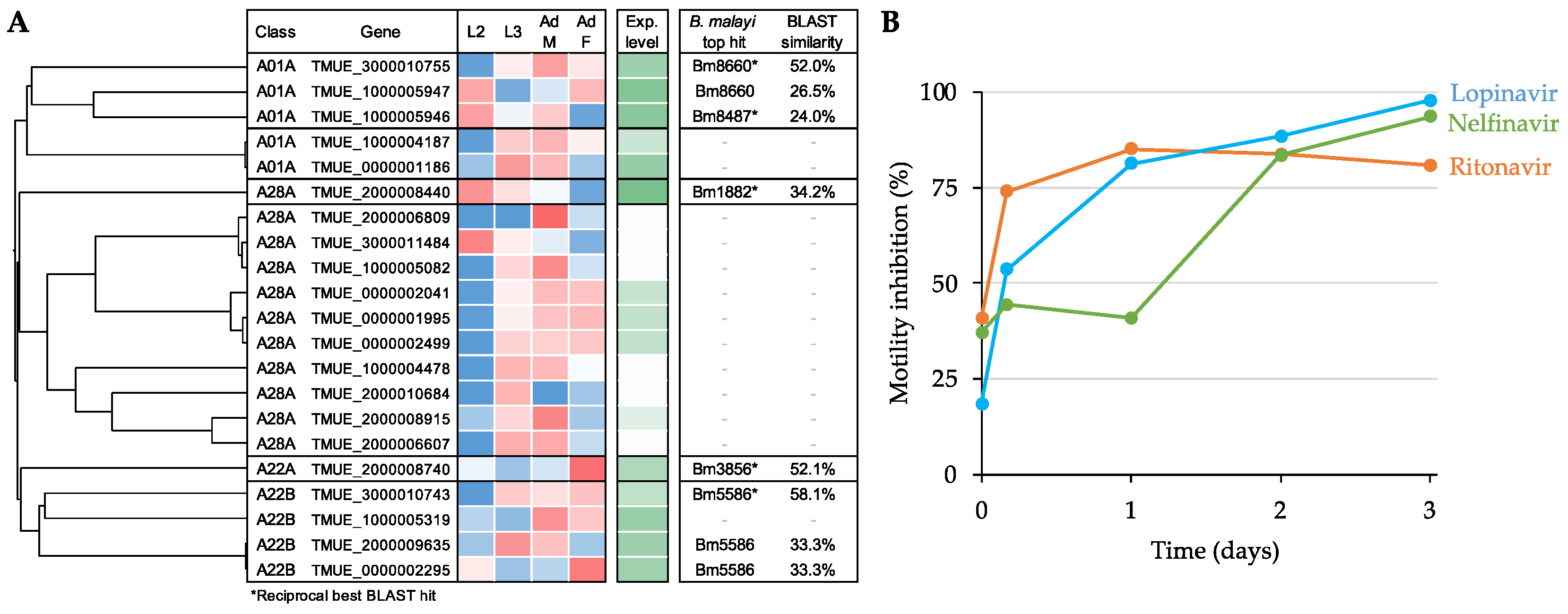 Pathogens 11 00707 g007 Pathogens 11 00707 g007
