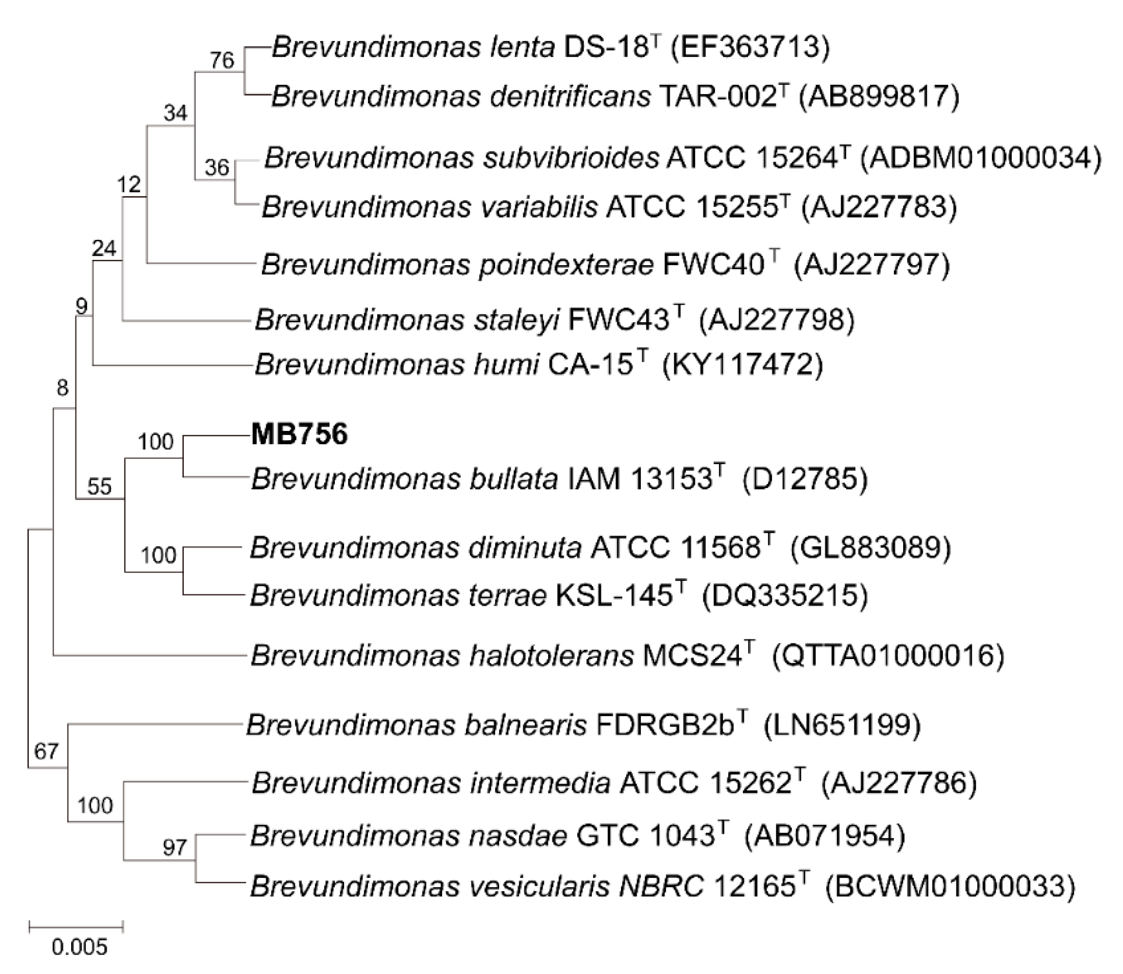 Pathogens 11 00708 g002 550