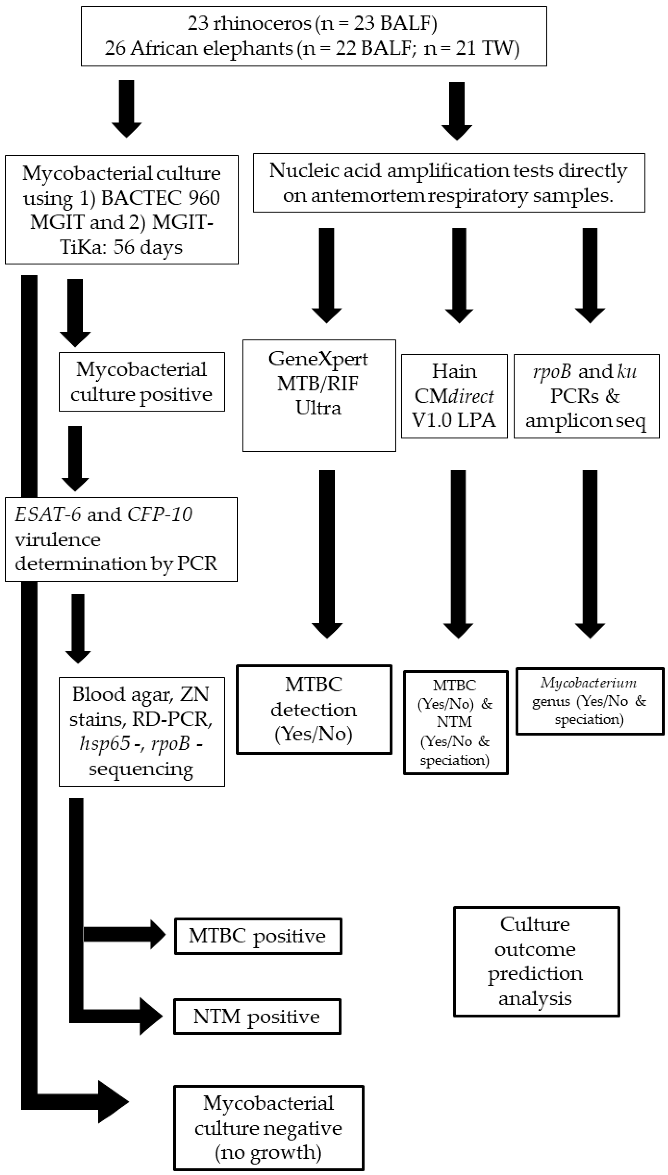 Pathogens 11 00709 g001