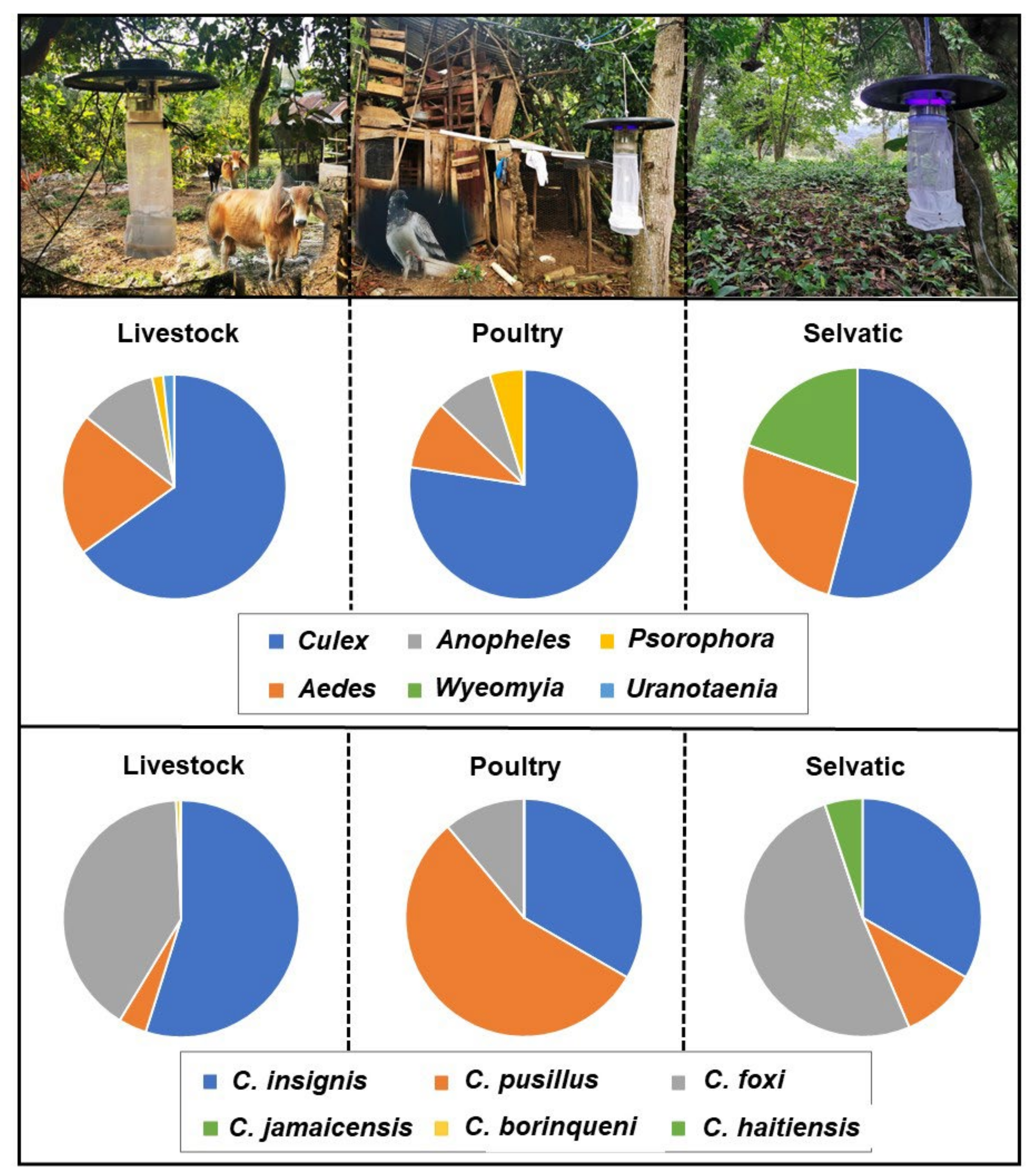 Pathogens 11 00714 g001 Pathogens 11 00714 g001