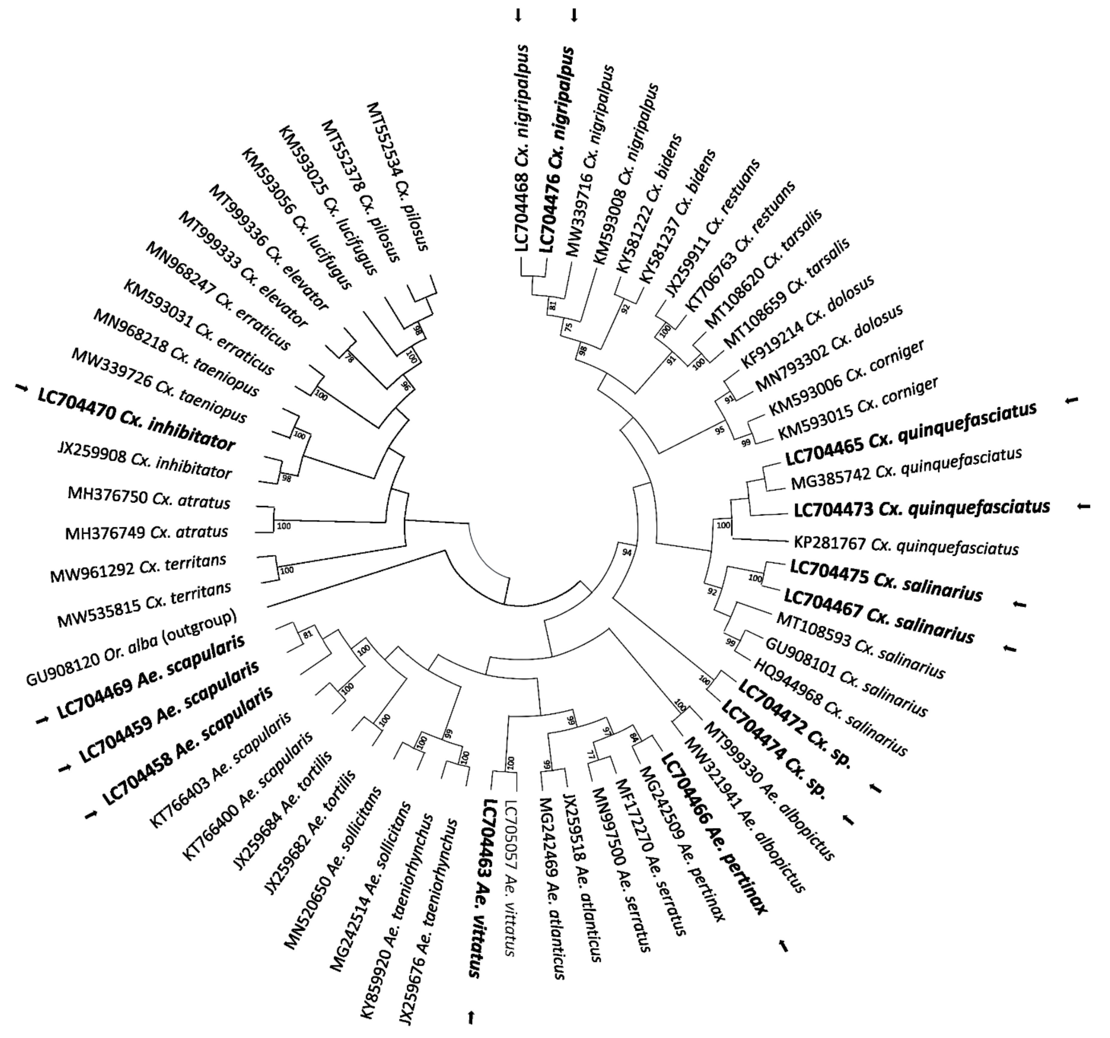 Pathogens 11 00714 g005 Pathogens 11 00714 g005