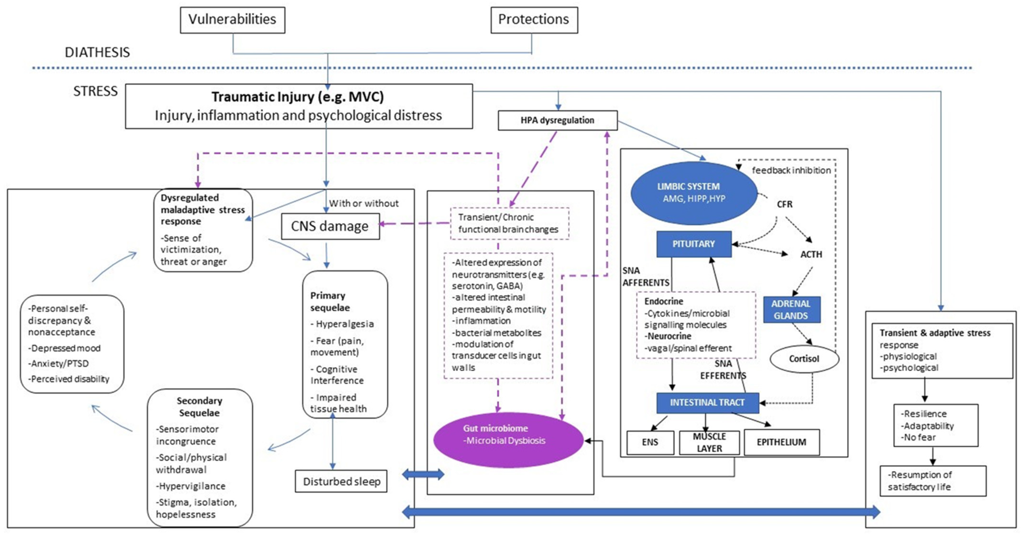 Pathogens 11 00716 g001