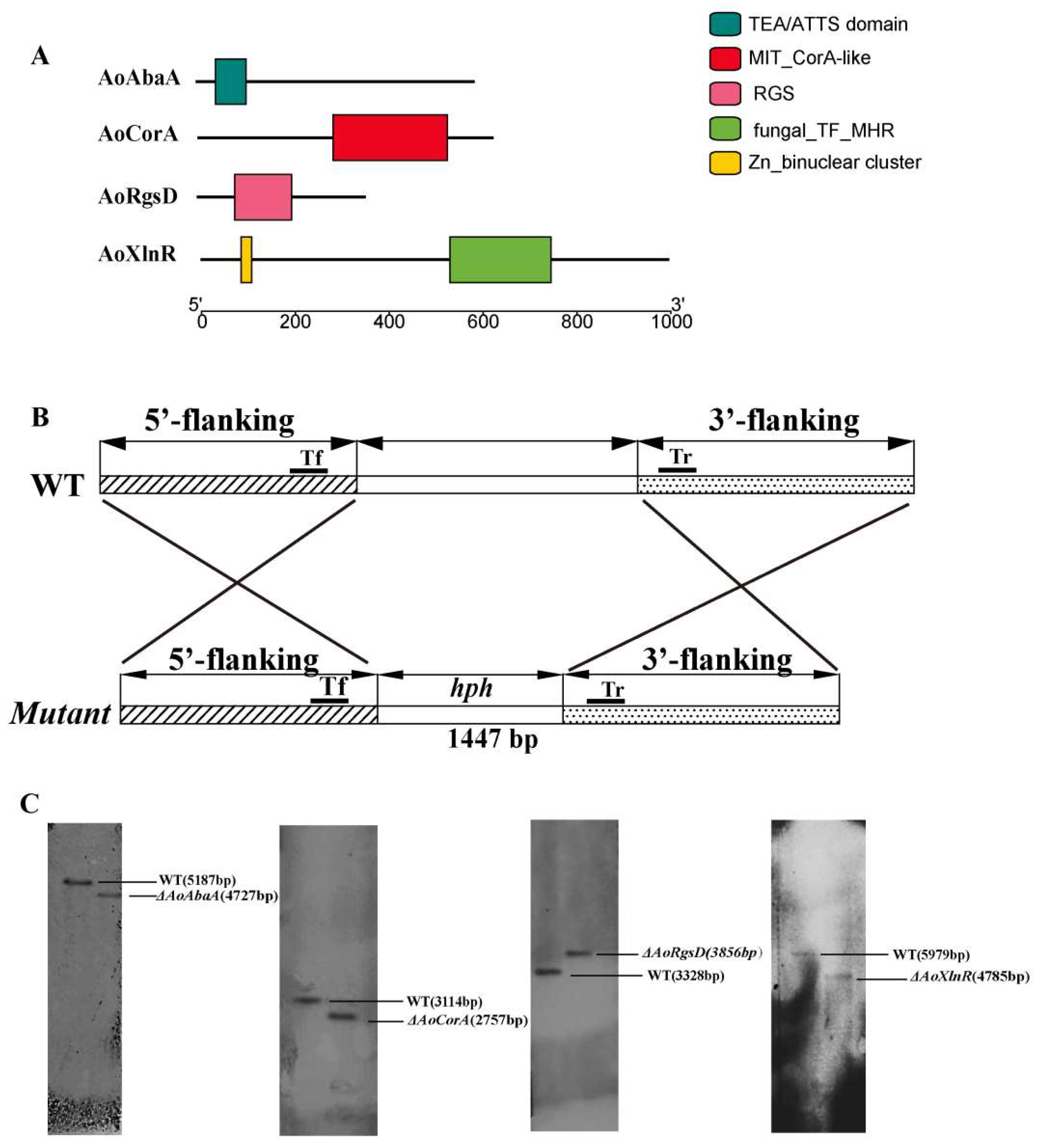 Pathogens 11 00717 g001 Pathogens 11 00717 g001