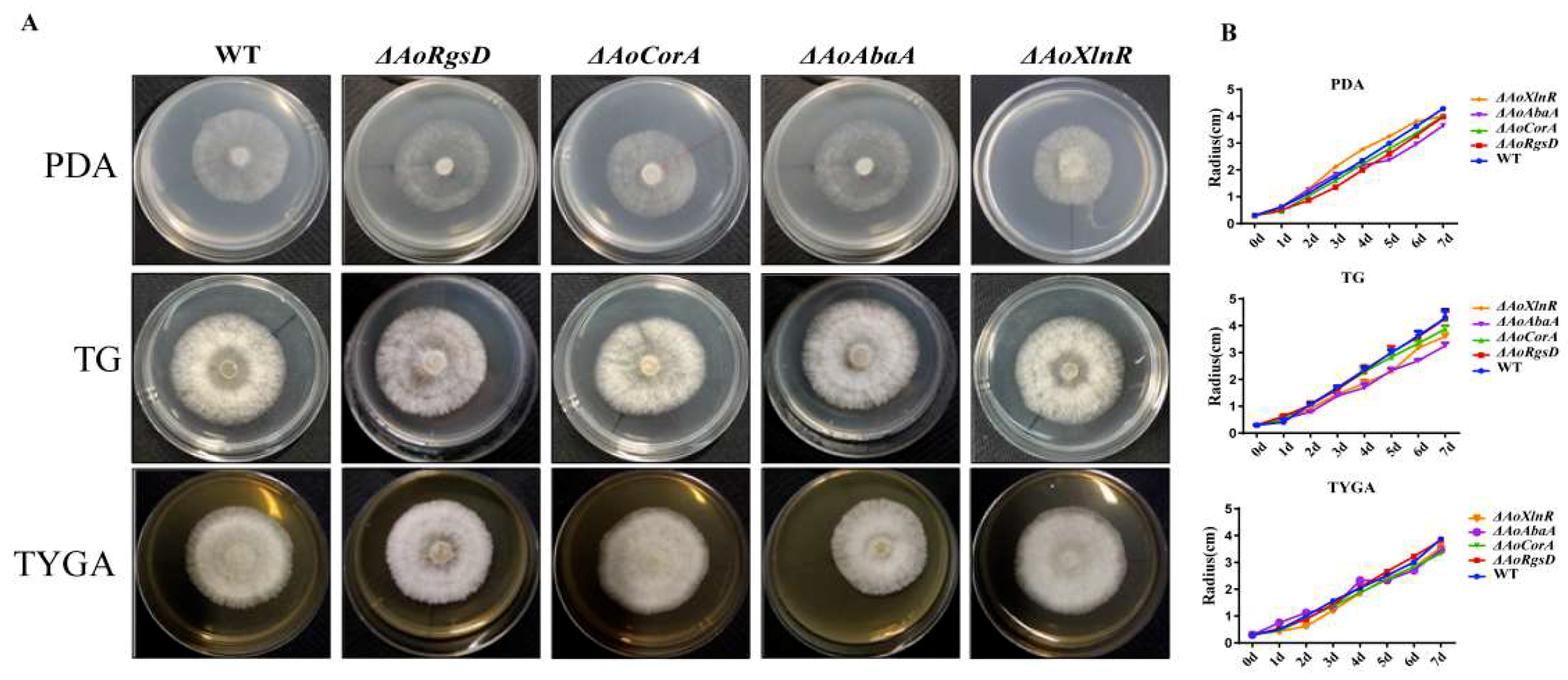 Pathogens 11 00717 g002 Pathogens 11 00717 g002