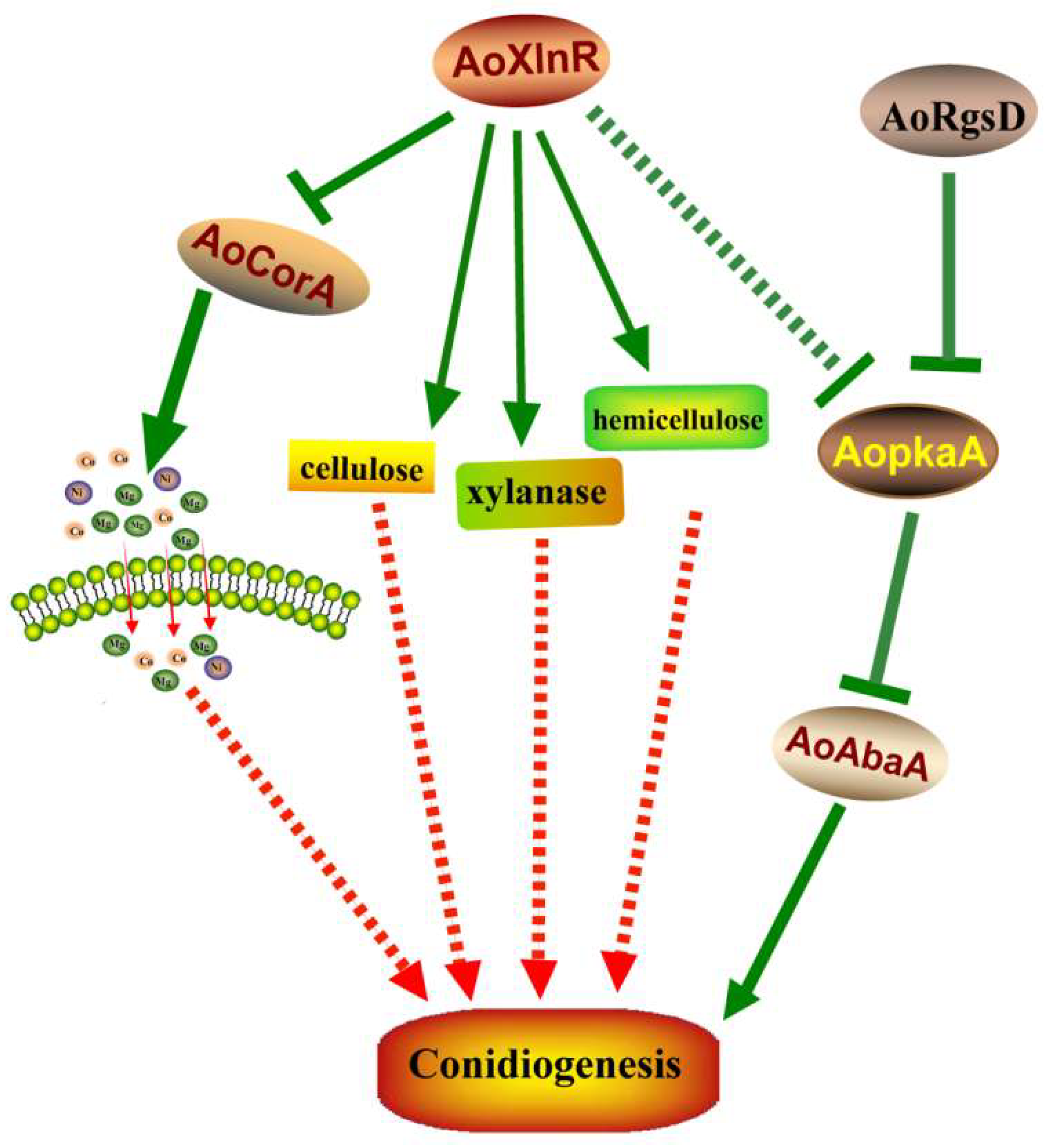 Pathogens 11 00717 g005 Pathogens 11 00717 g005