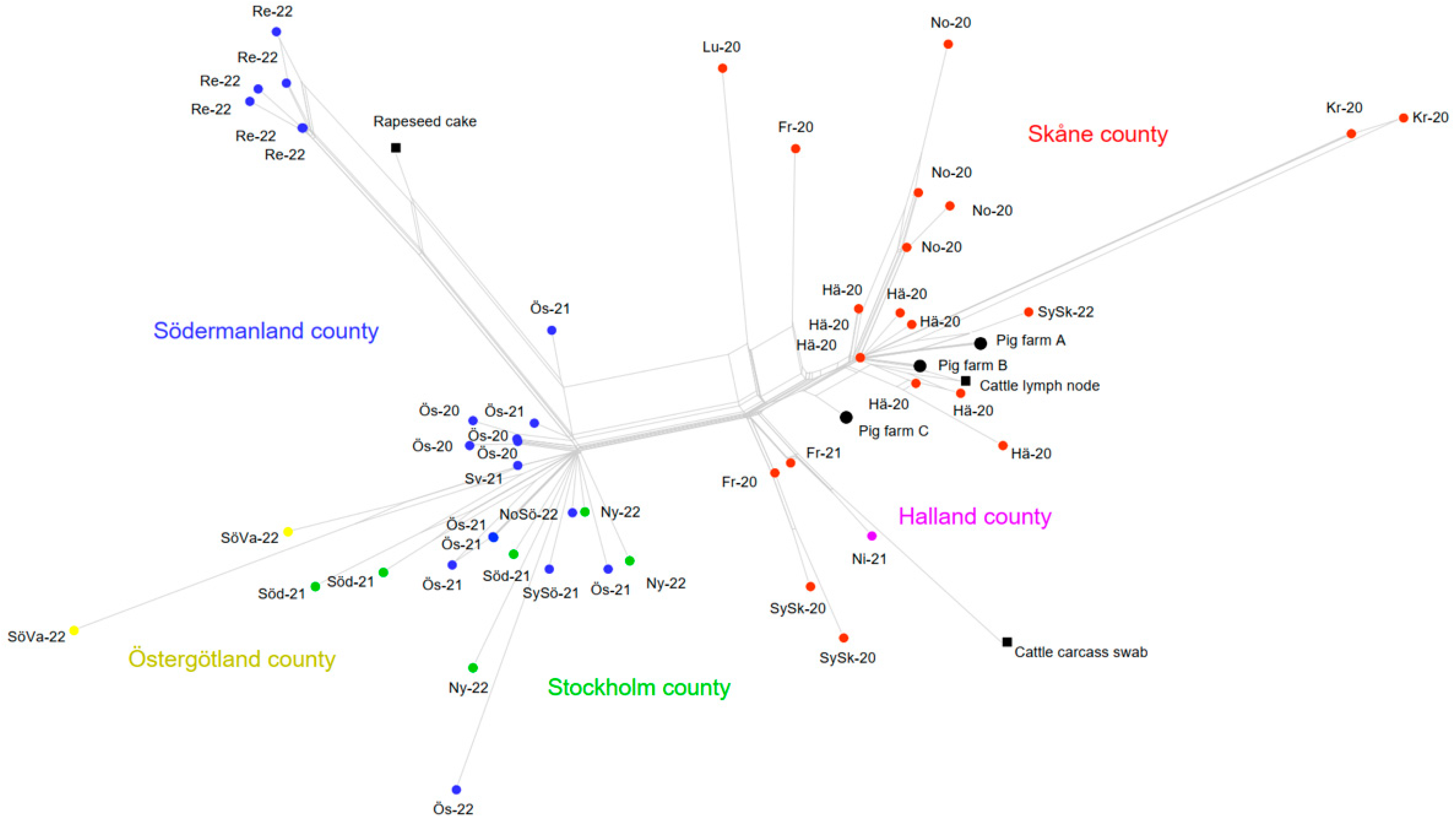 Pathogens 11 00723 g003 550