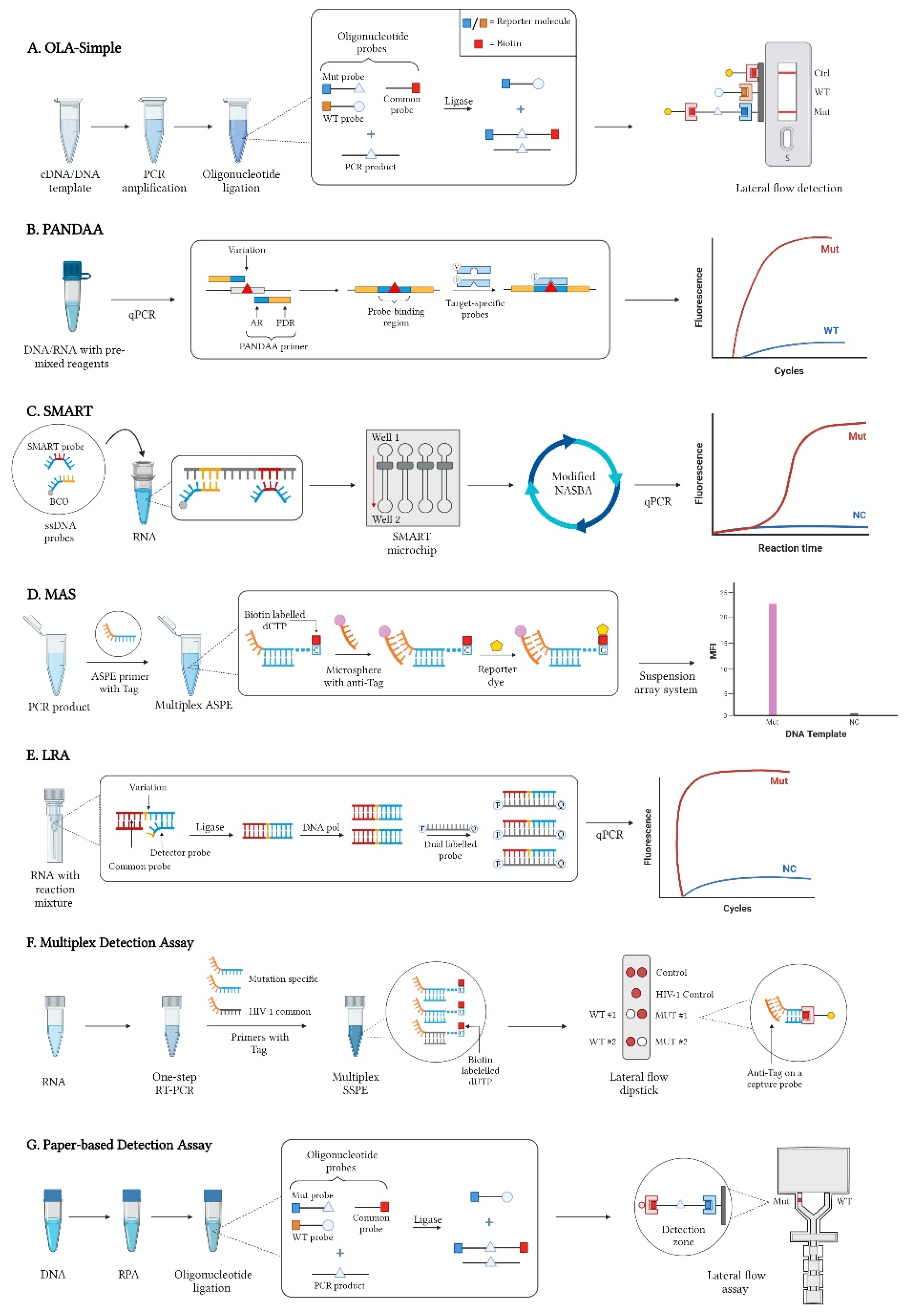 Pathogens 11 00724 g001 Pathogens 11 00724 g001