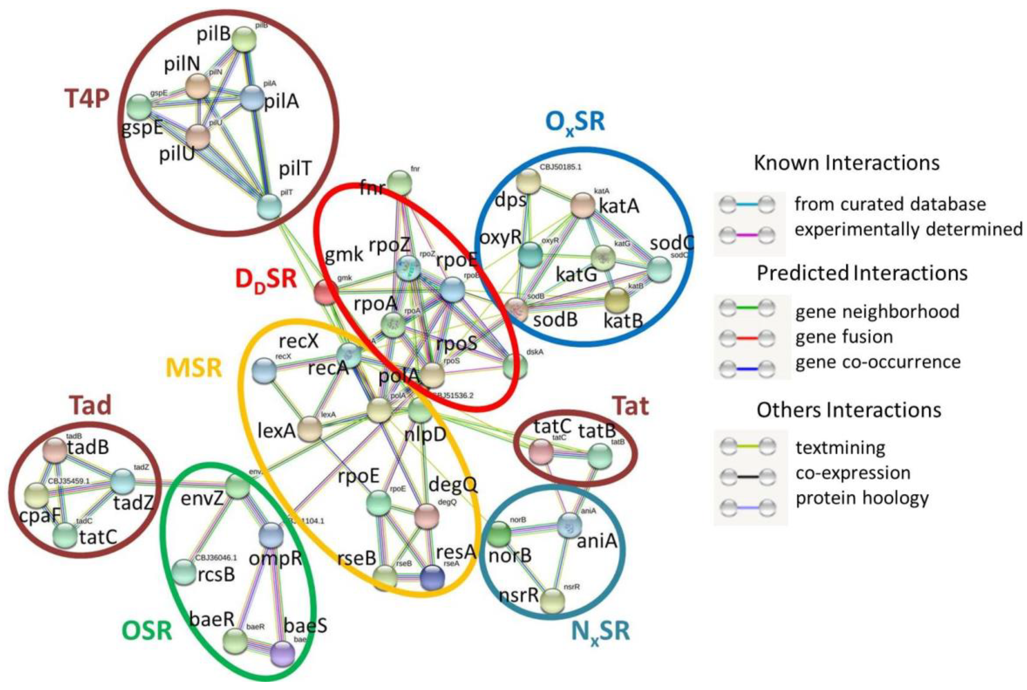 Pathogens 11 00730 g005 Pathogens 11 00730 g005