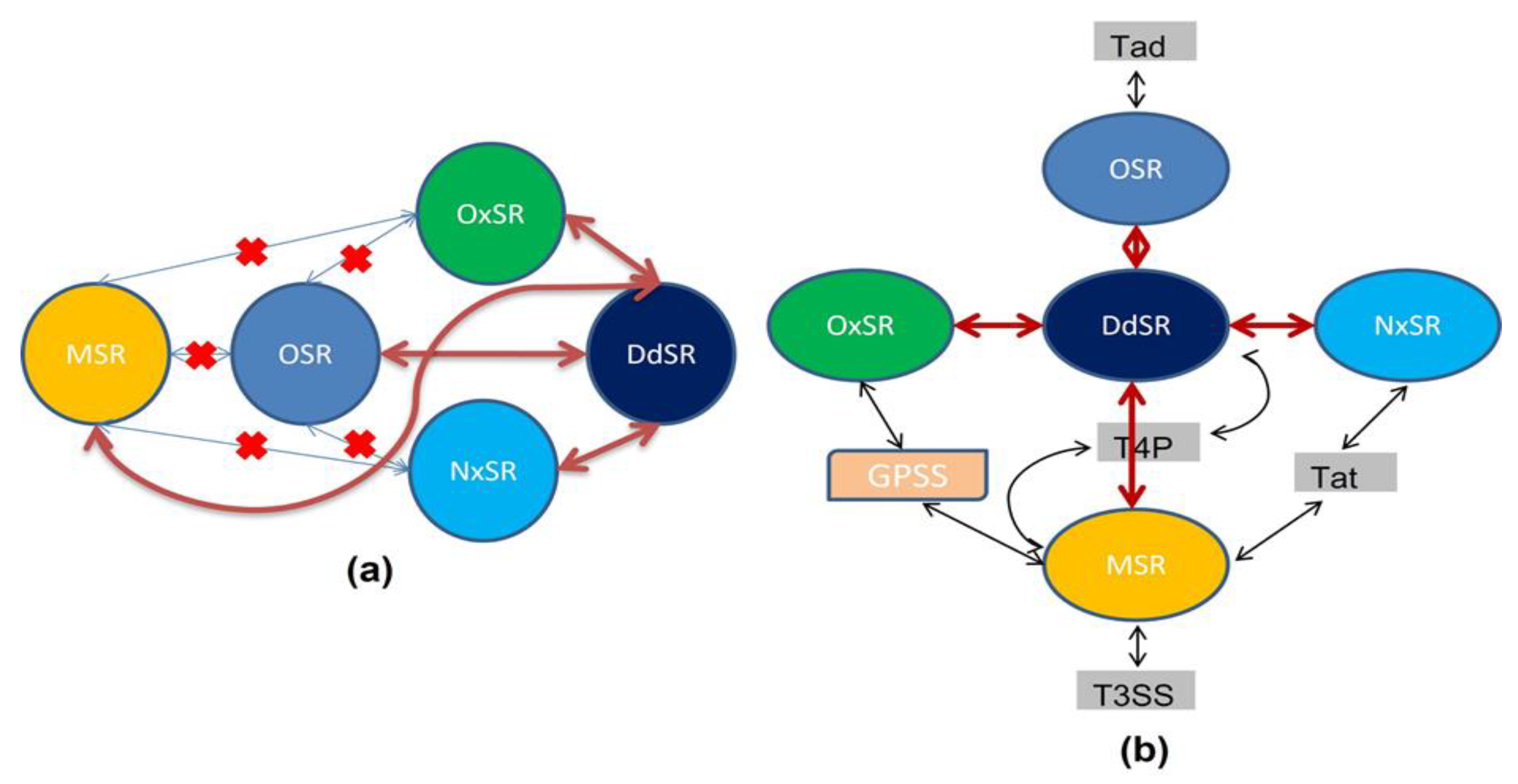 Pathogens 11 00730 g006 Pathogens 11 00730 g006