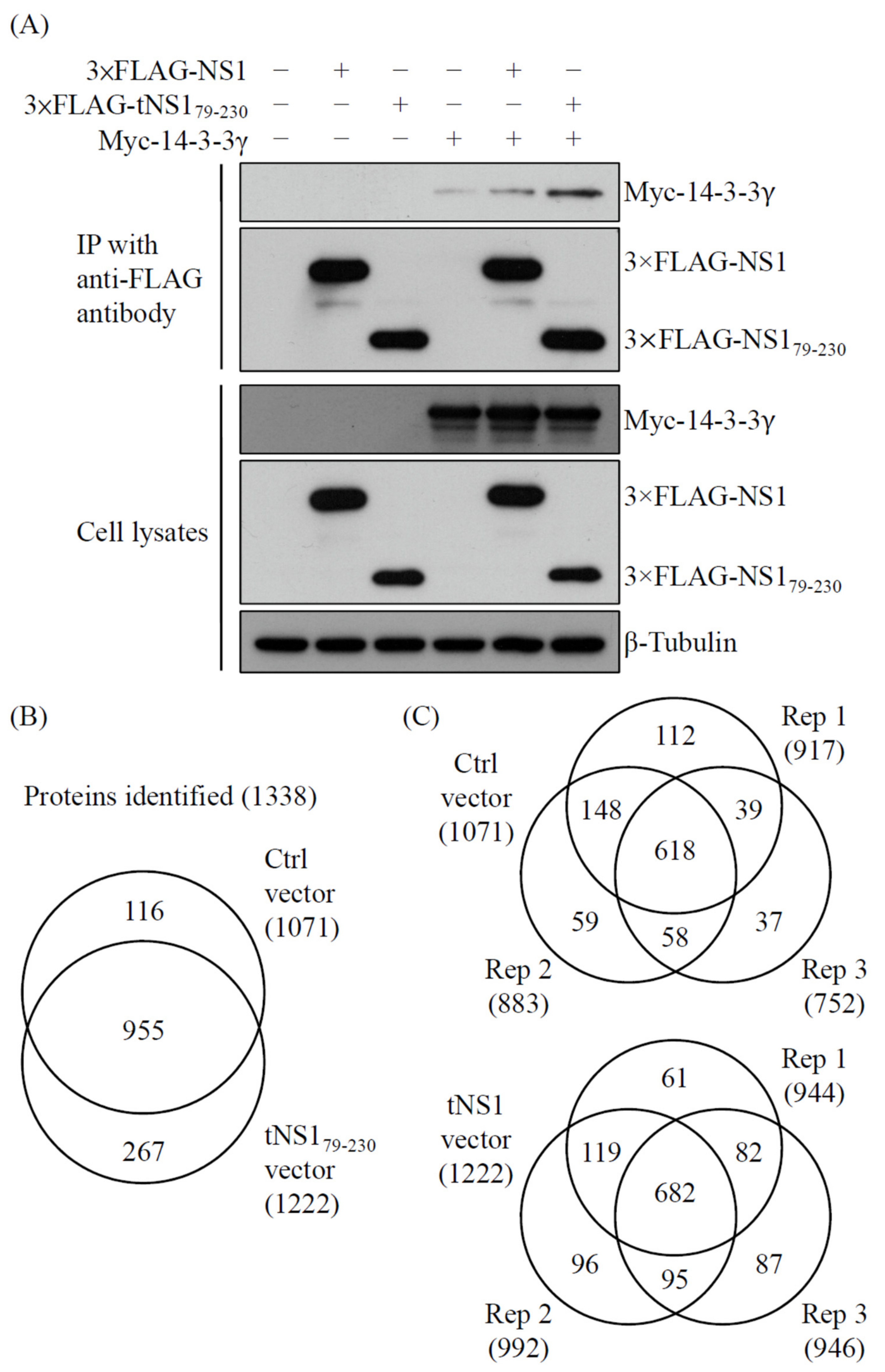 Pathogens 11 00733 g001