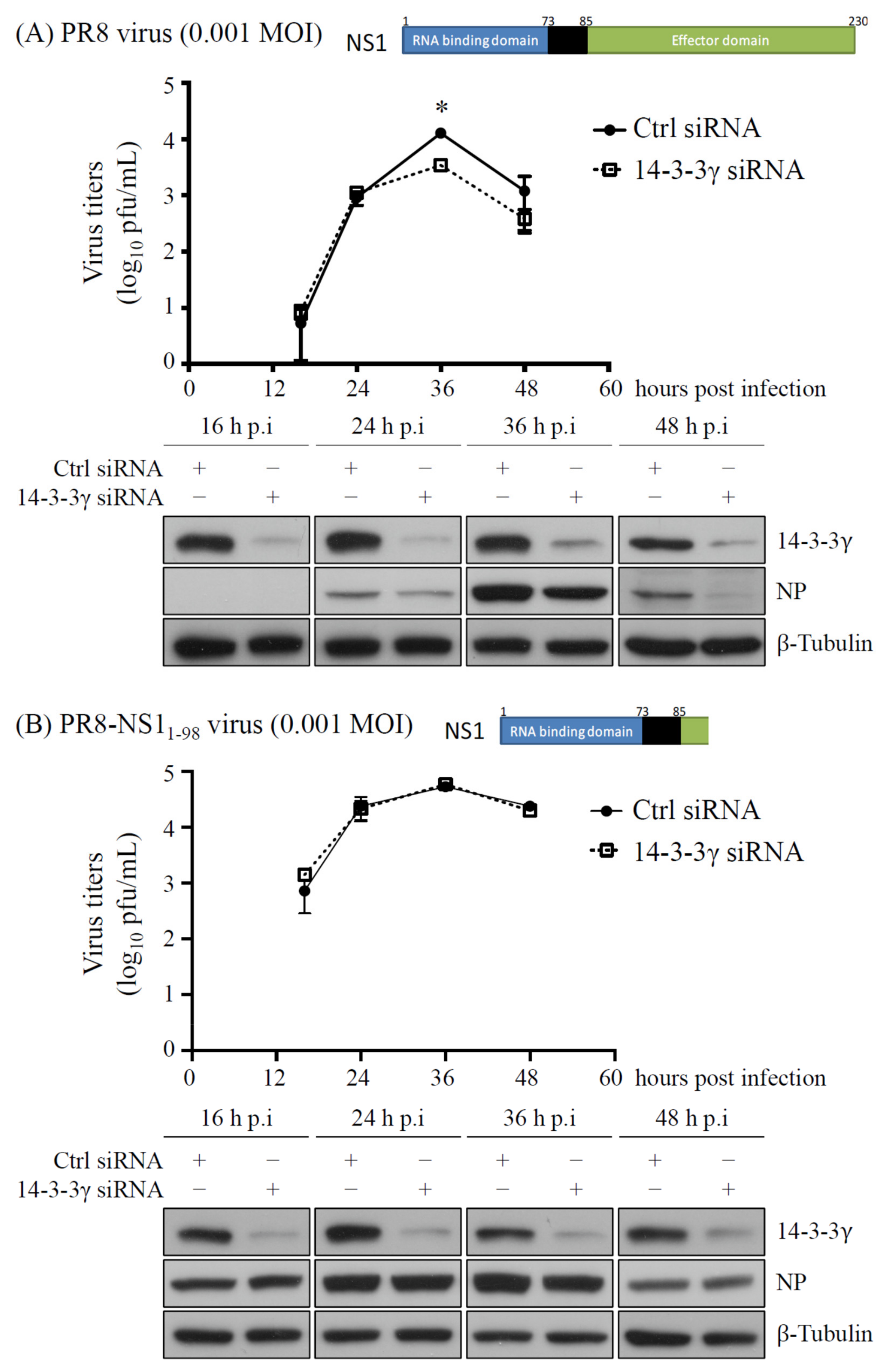 Pathogens 11 00733 g003