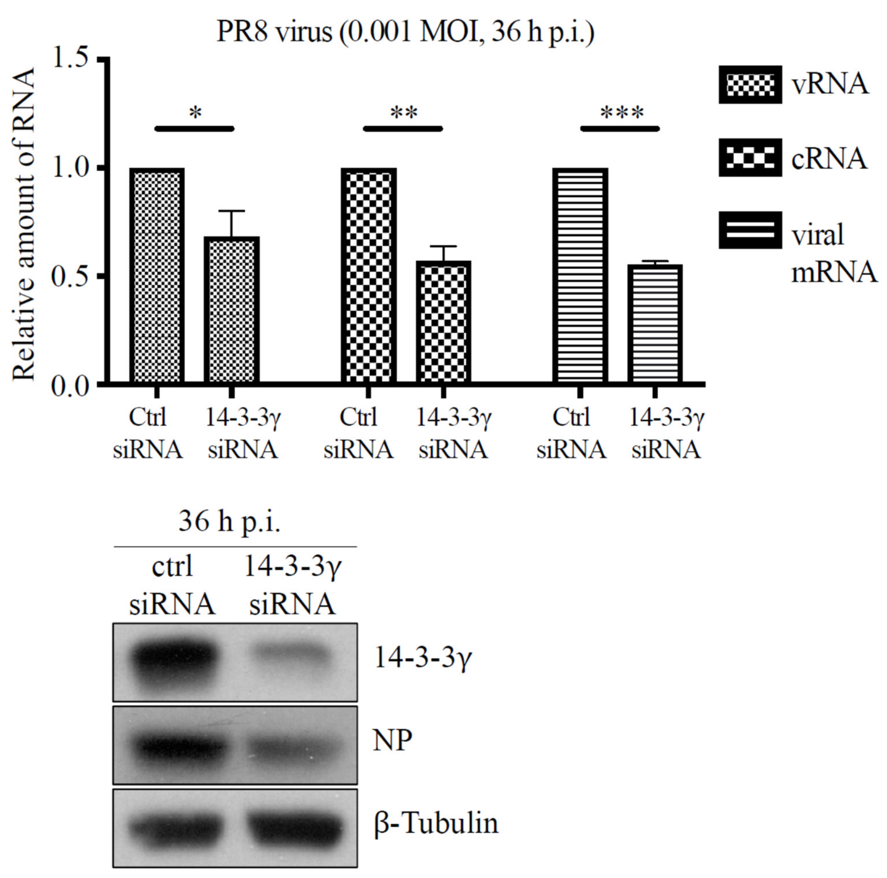 Pathogens 11 00733 g005