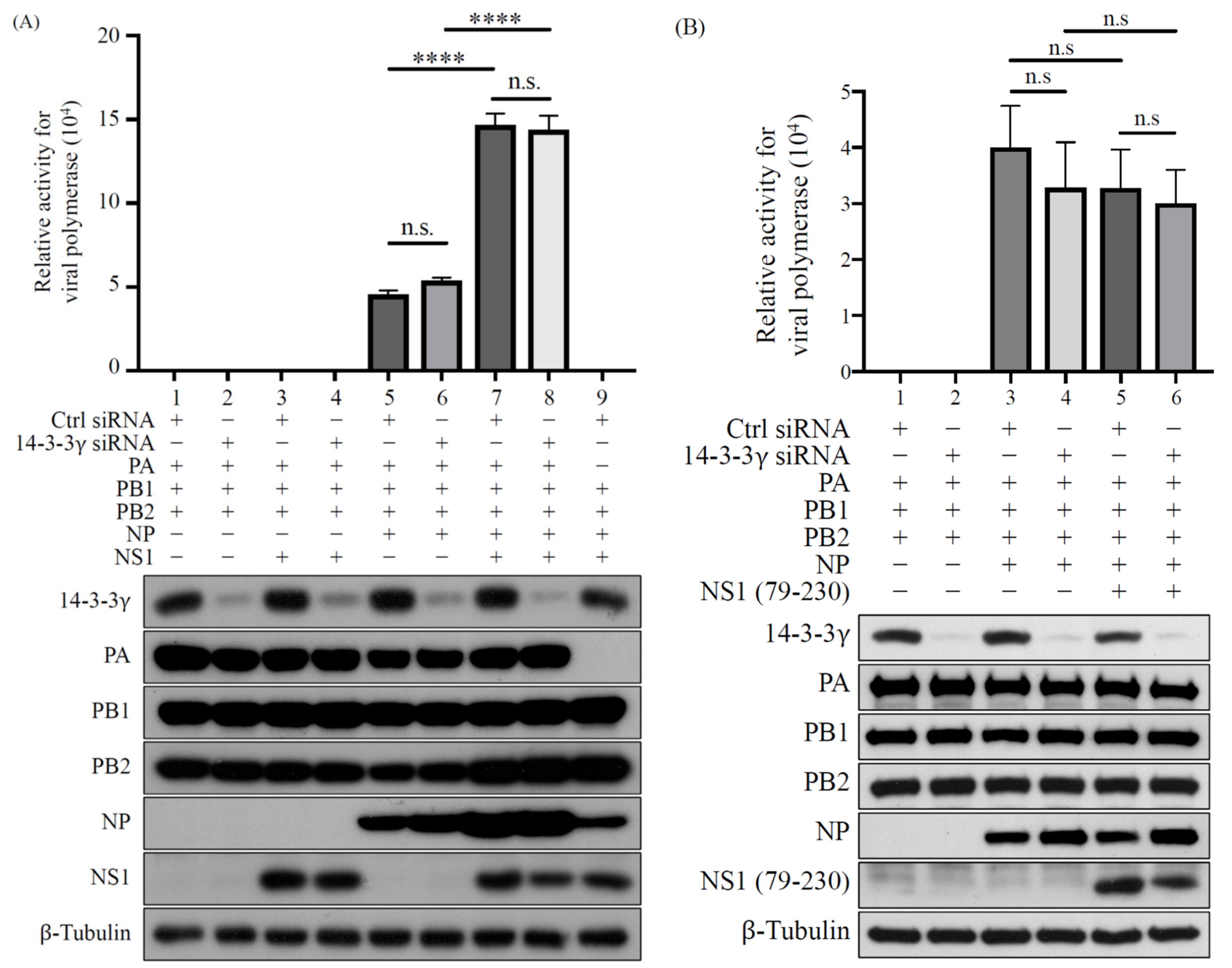 Pathogens 11 00733 g006
