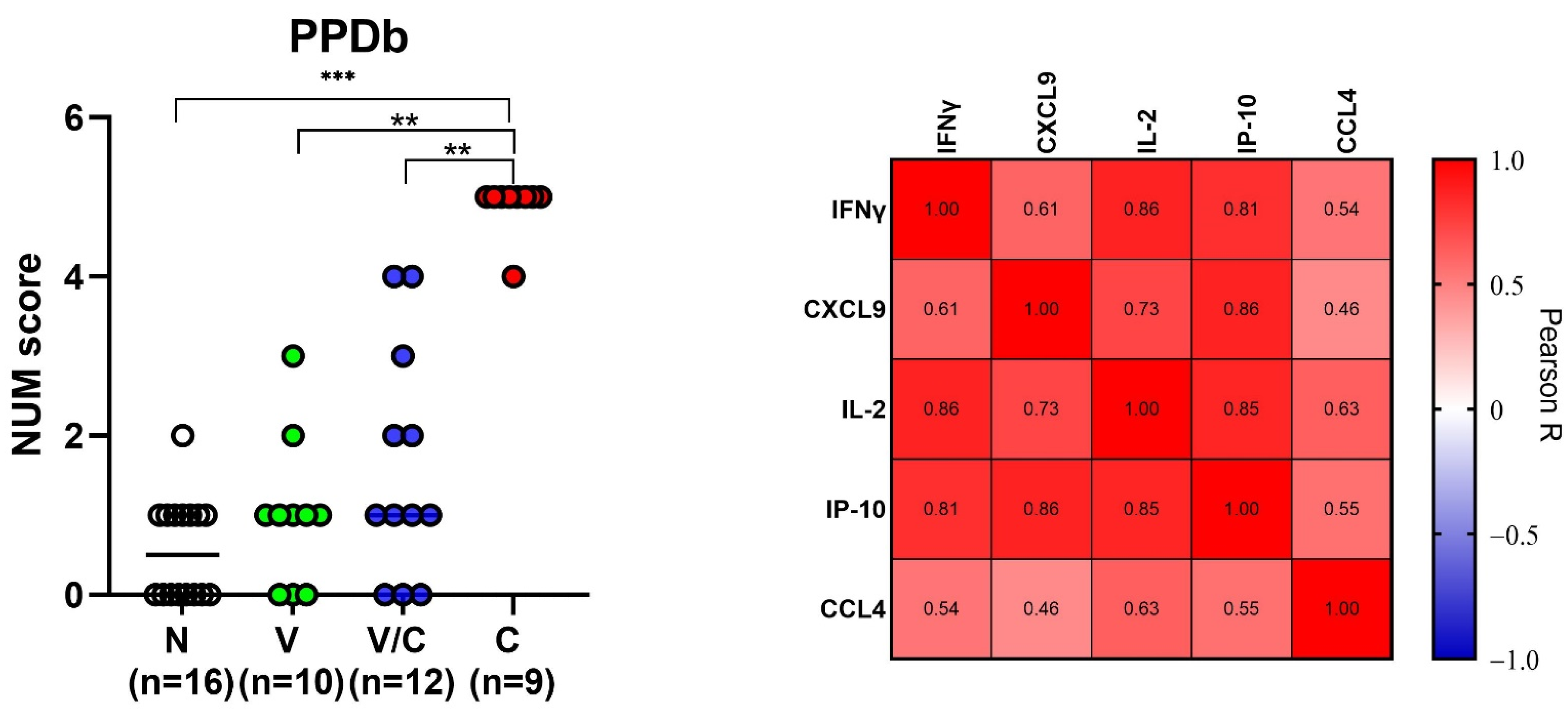 Pathogens 11 00738 g005 Pathogens 11 00738 g005