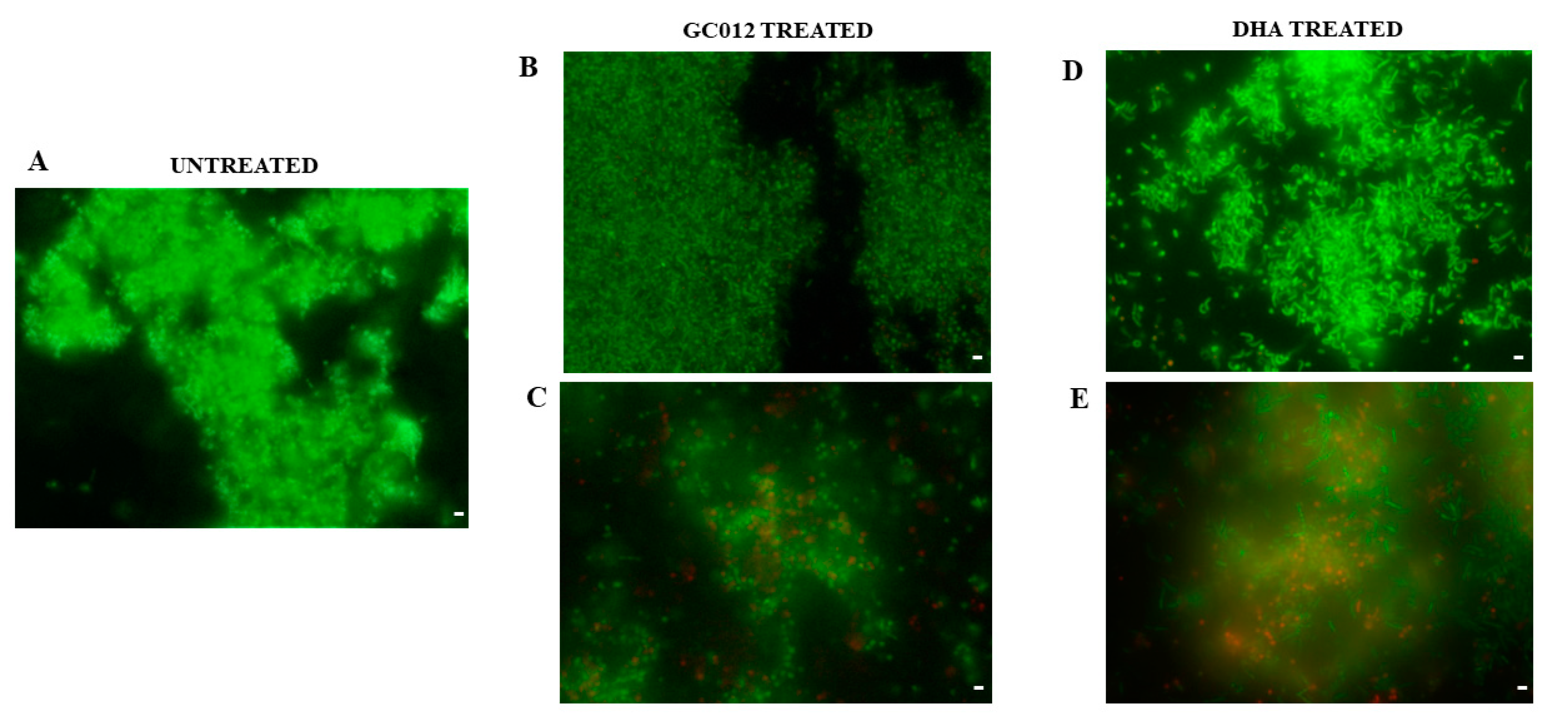 Pathogens 11 00740 g005 550