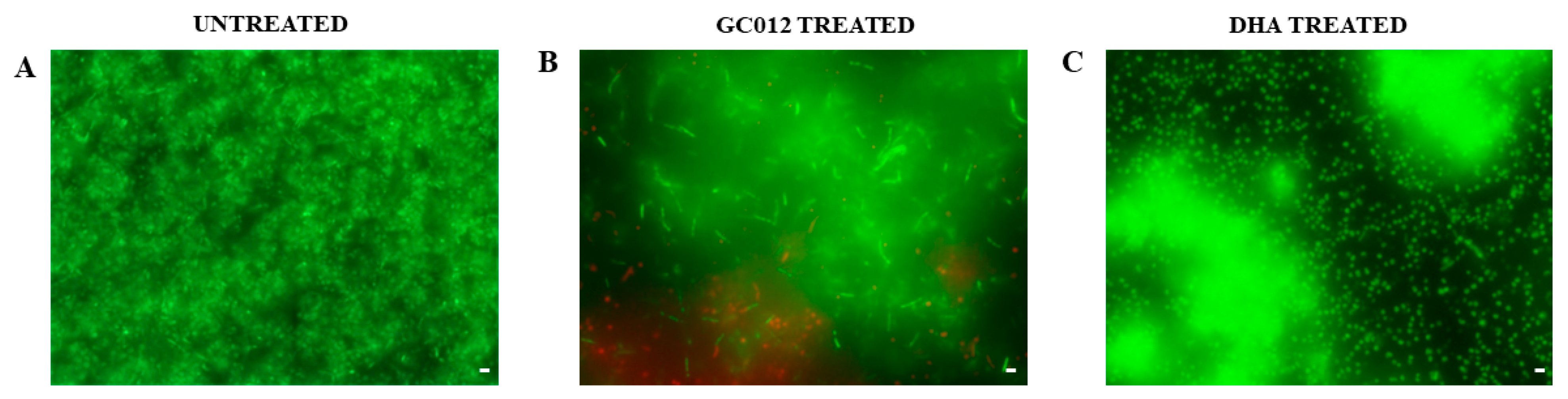Pathogens 11 00740 g007 550