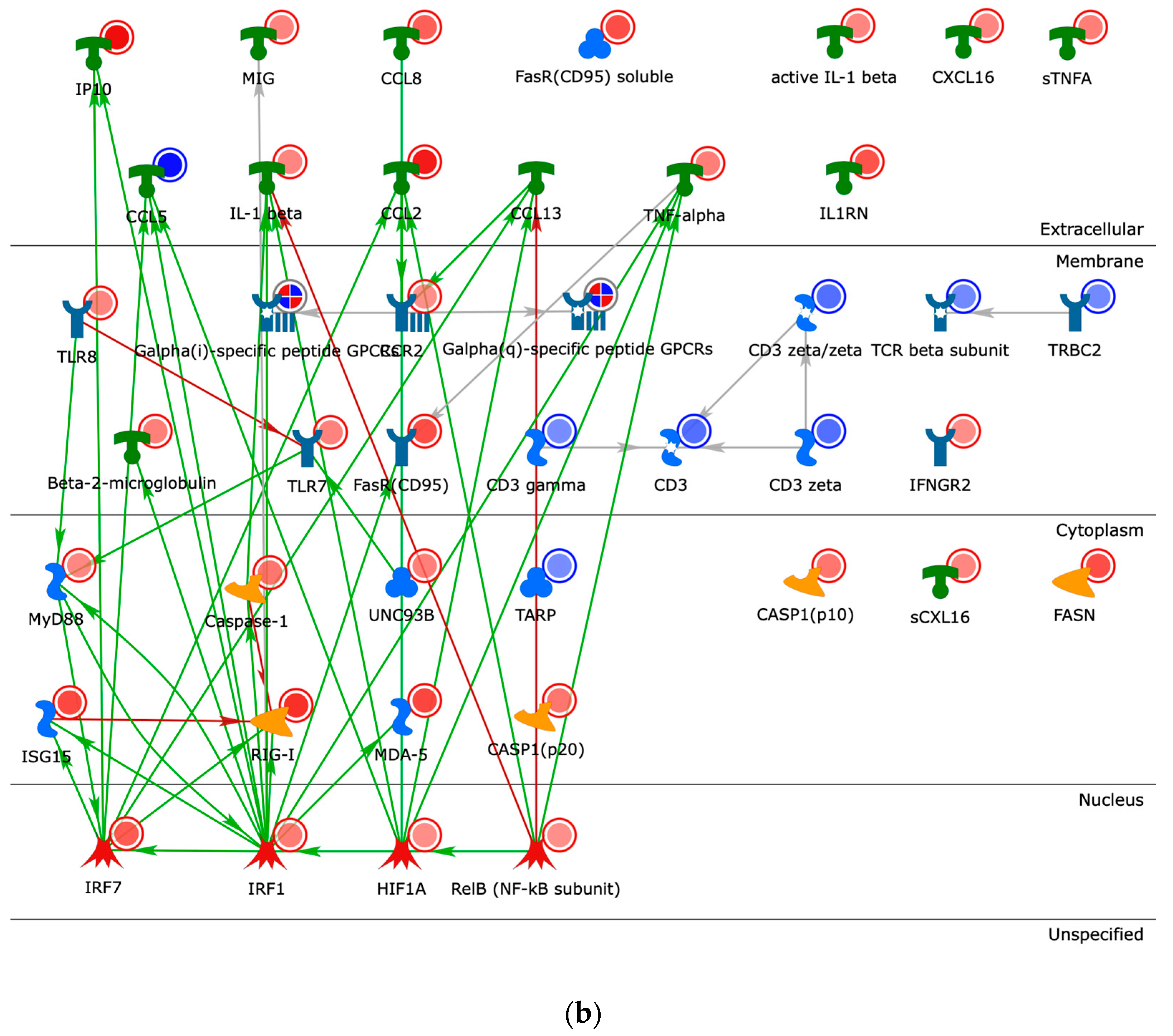 Pathogens 11 00743 g004b Pathogens 11 00743 g004b