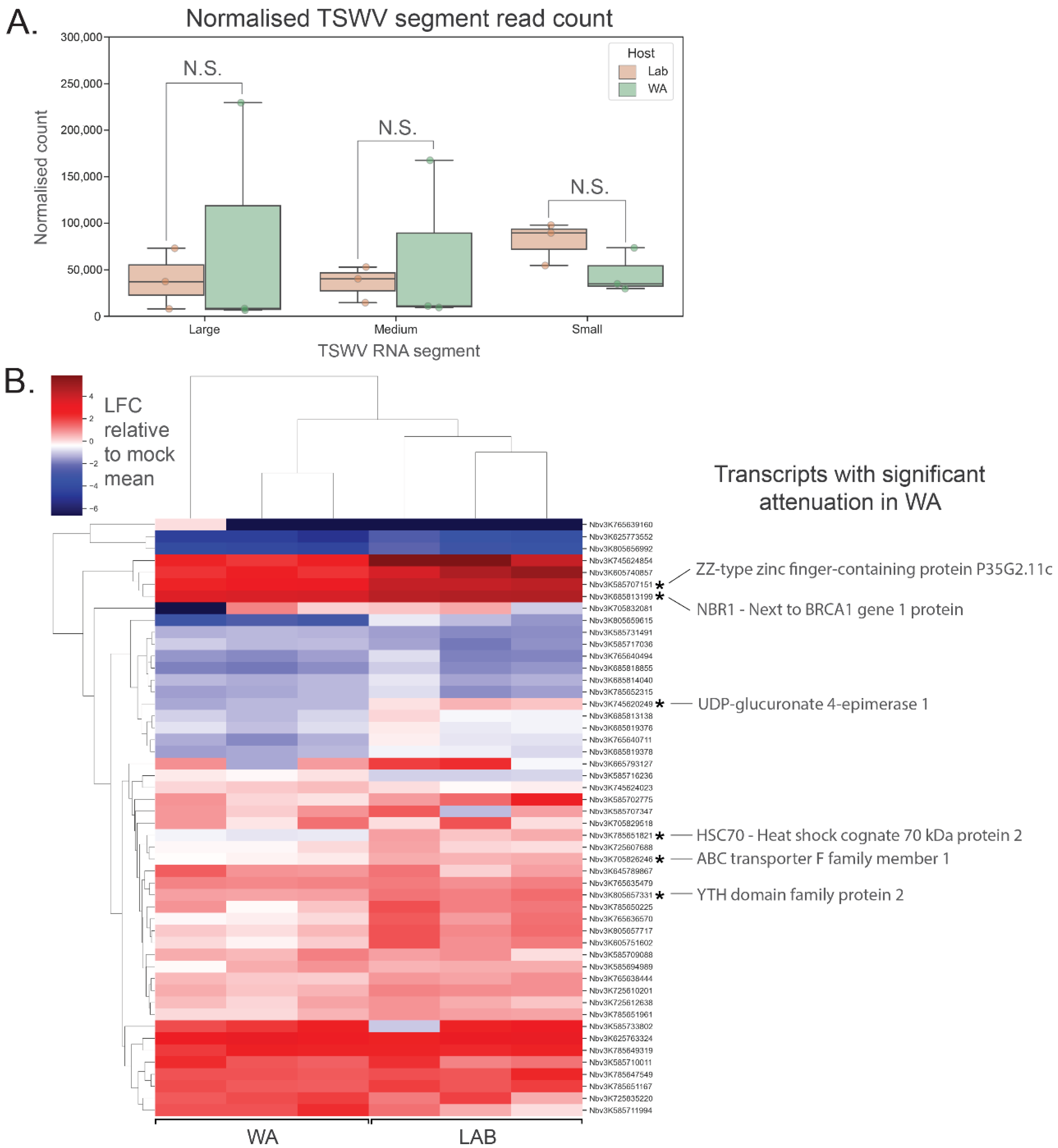 Pathogens 11 00745 g004
