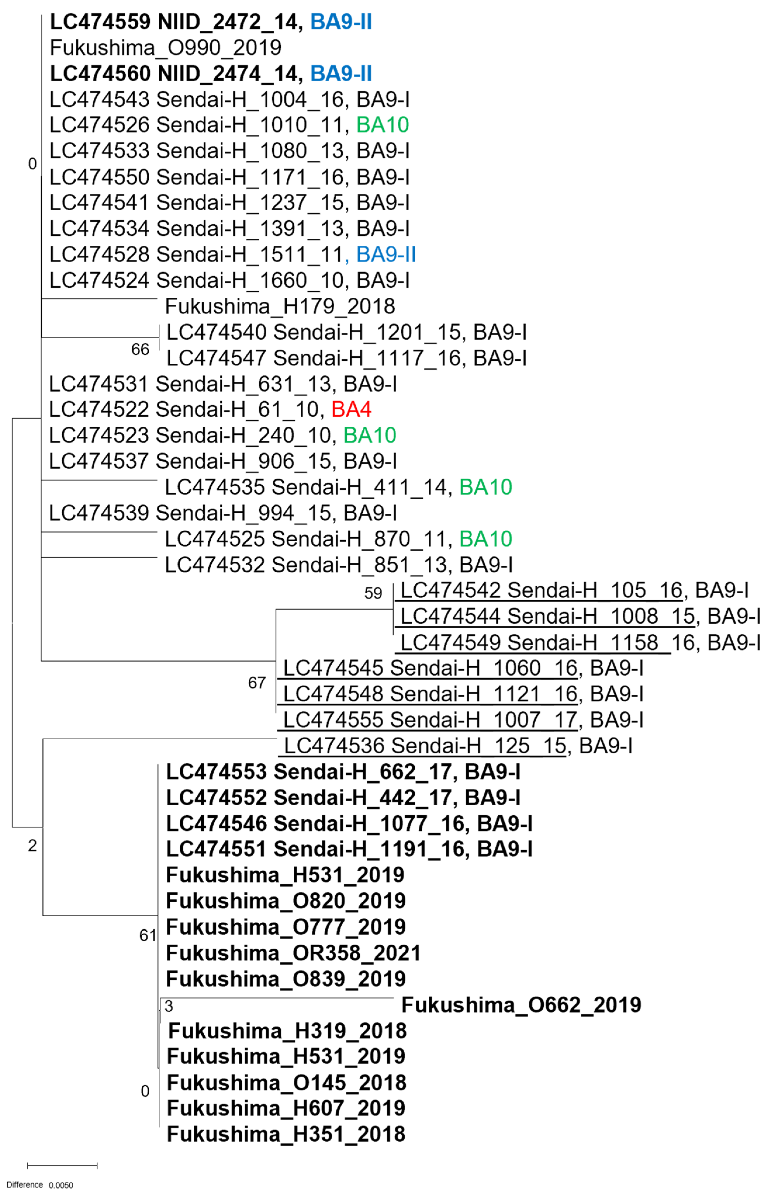 Pathogens 11 00754 g001