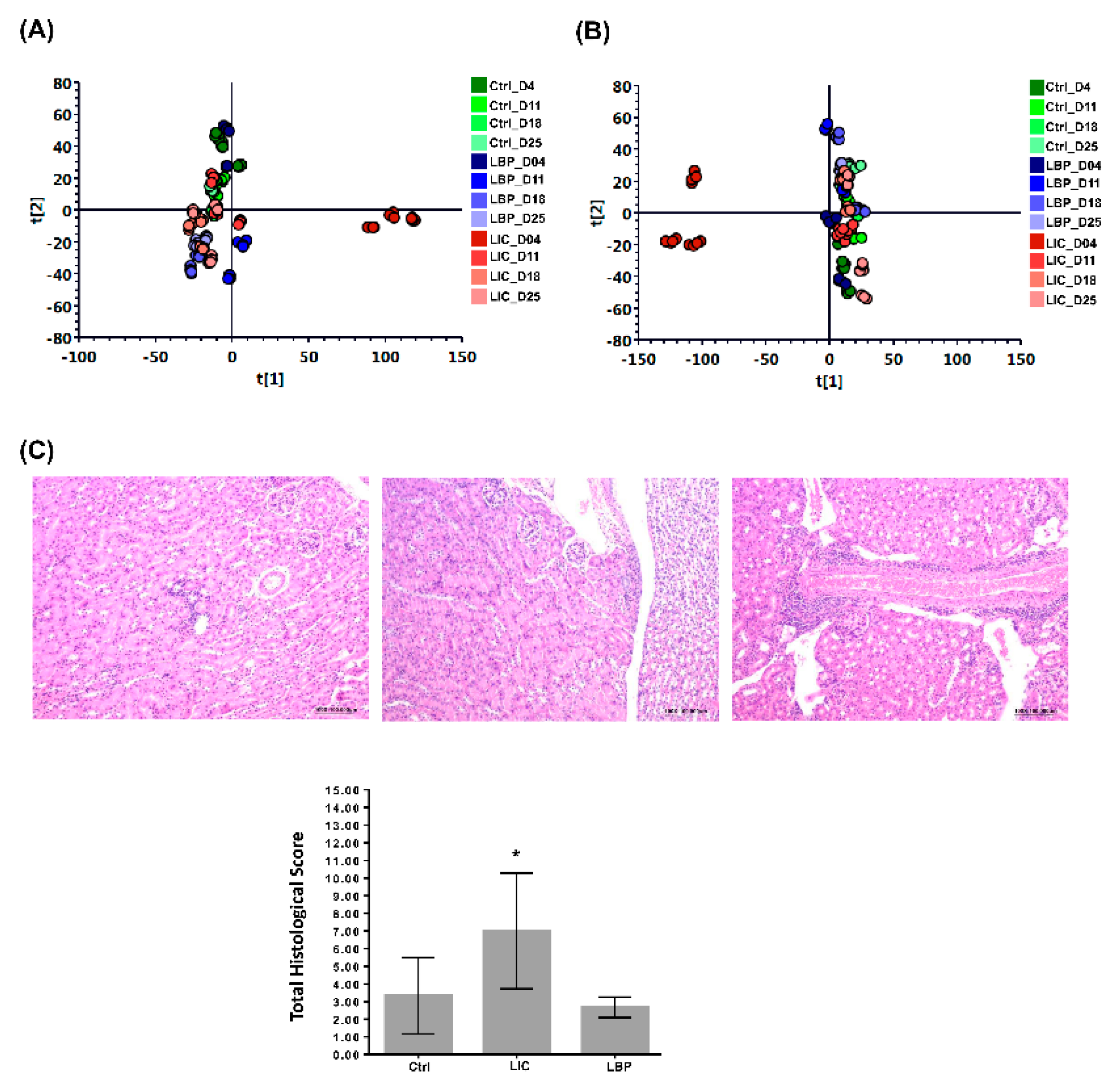 Pathogens 11 00764 g001