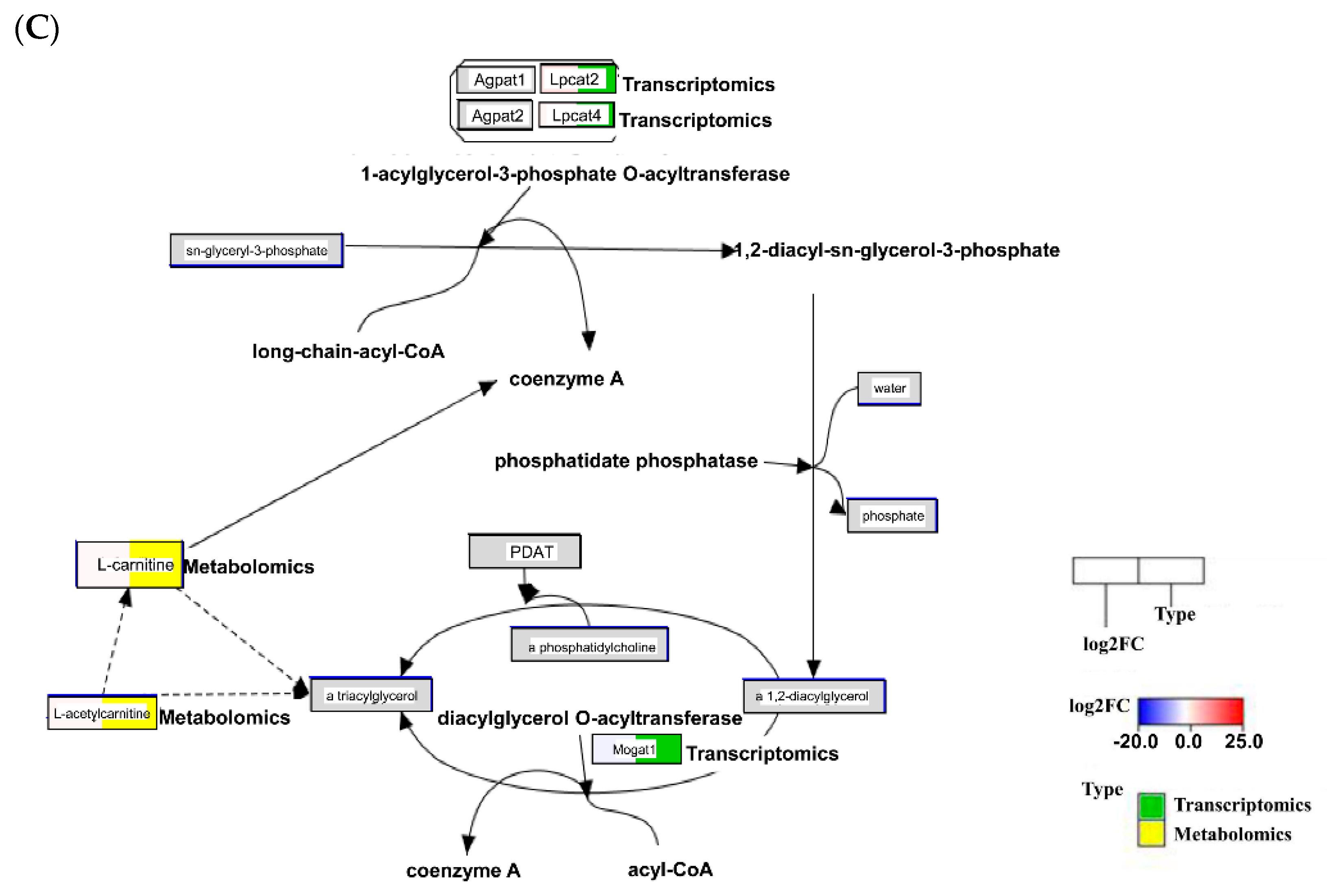 Pathogens 11 00764 g007b