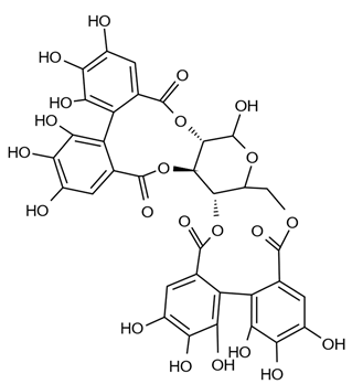 Pathogens 11 00770 i009 Pathogens 11 00770 i009