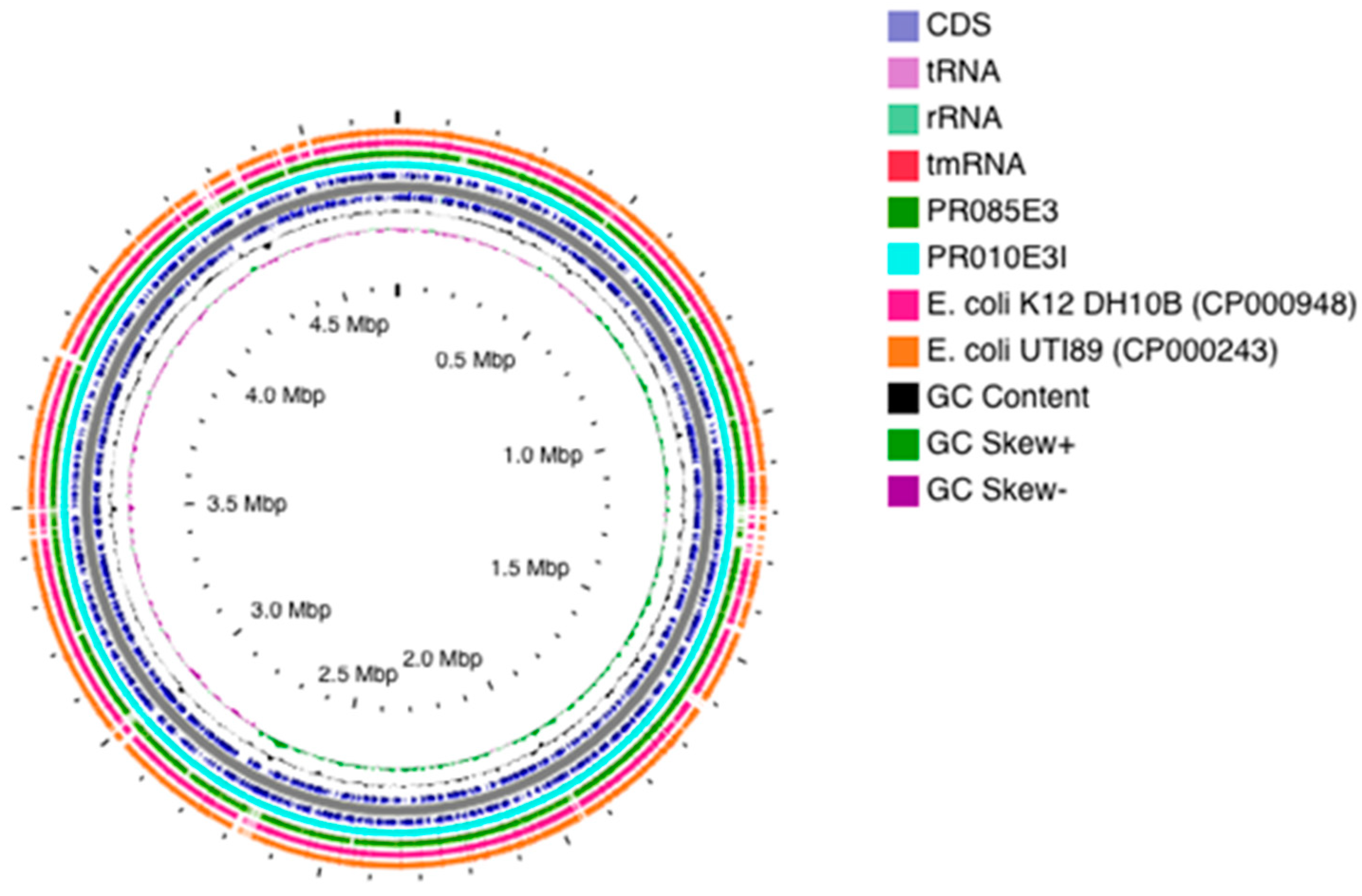 Sequence type diversity and population structure of ESBL-producing