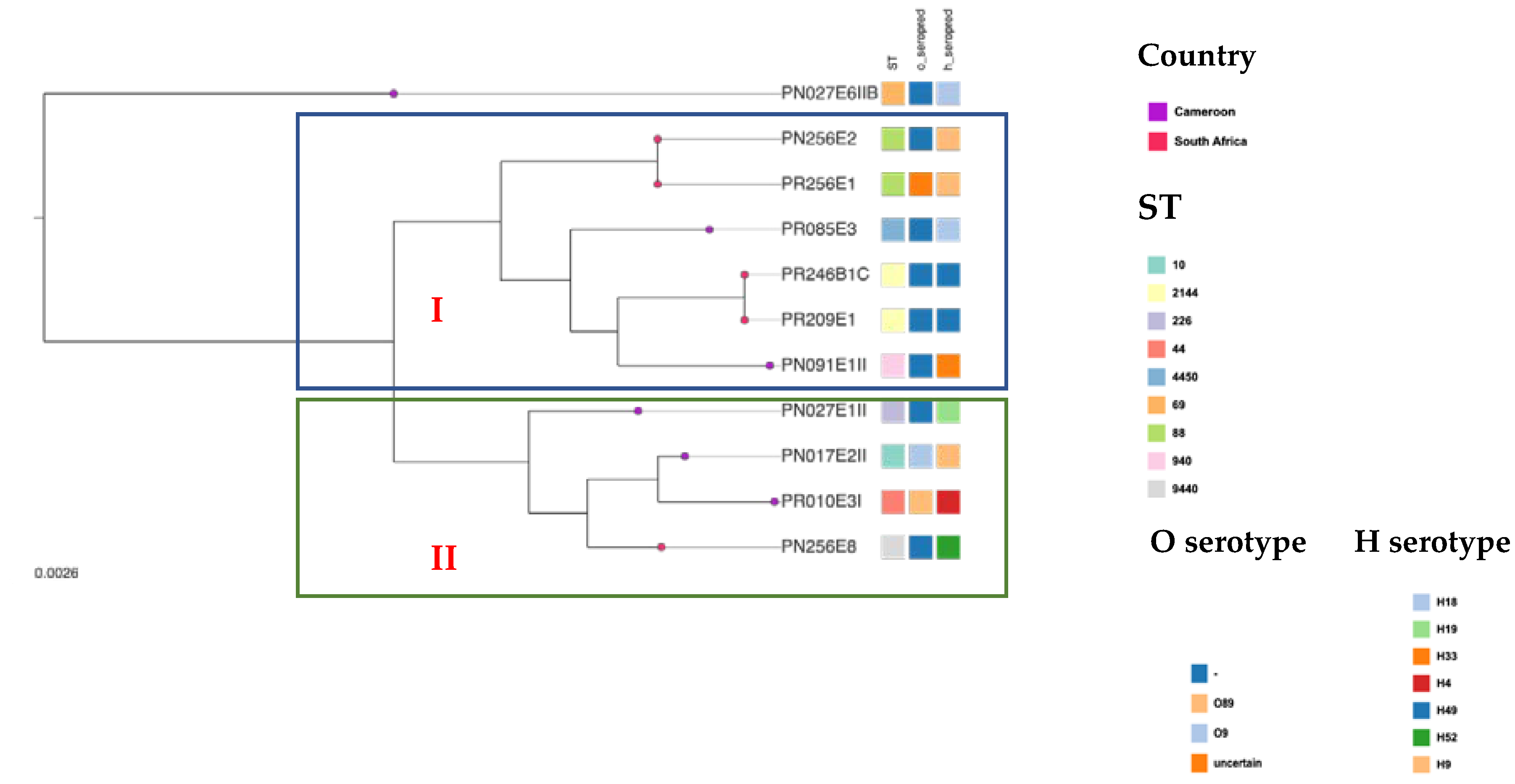 Pathogens 11 00776 g002