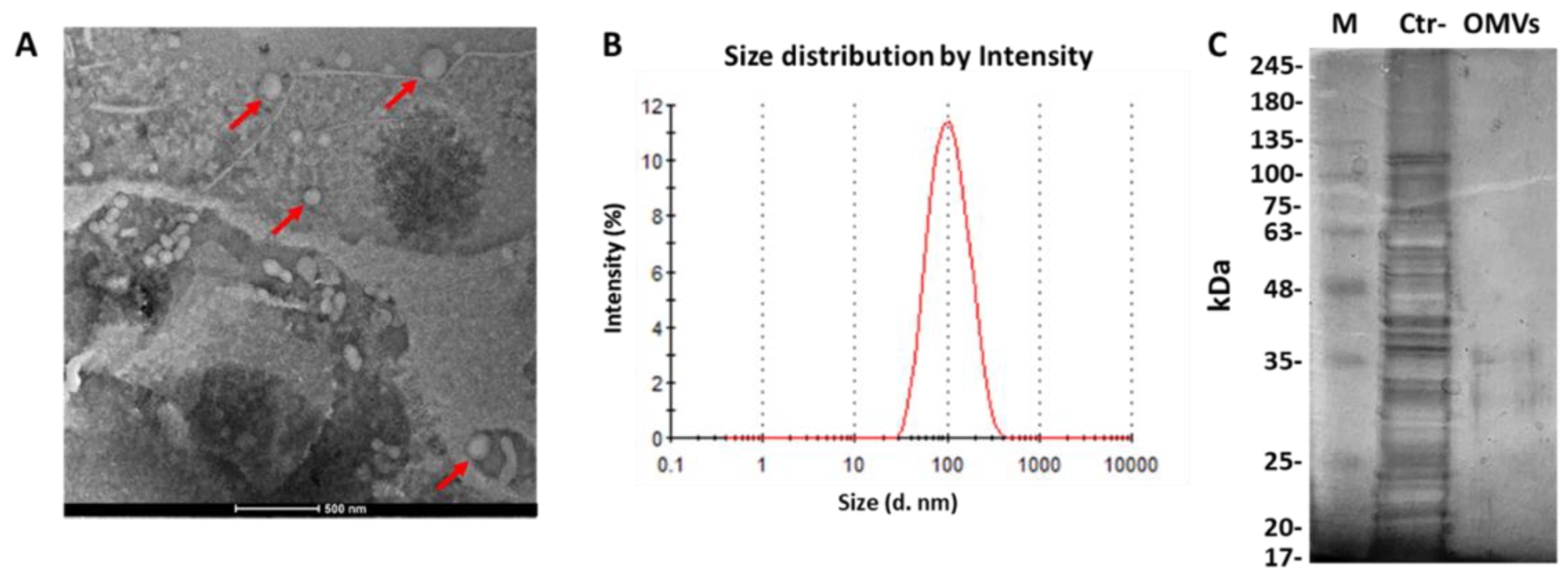 Pathogens 11 00782 g001