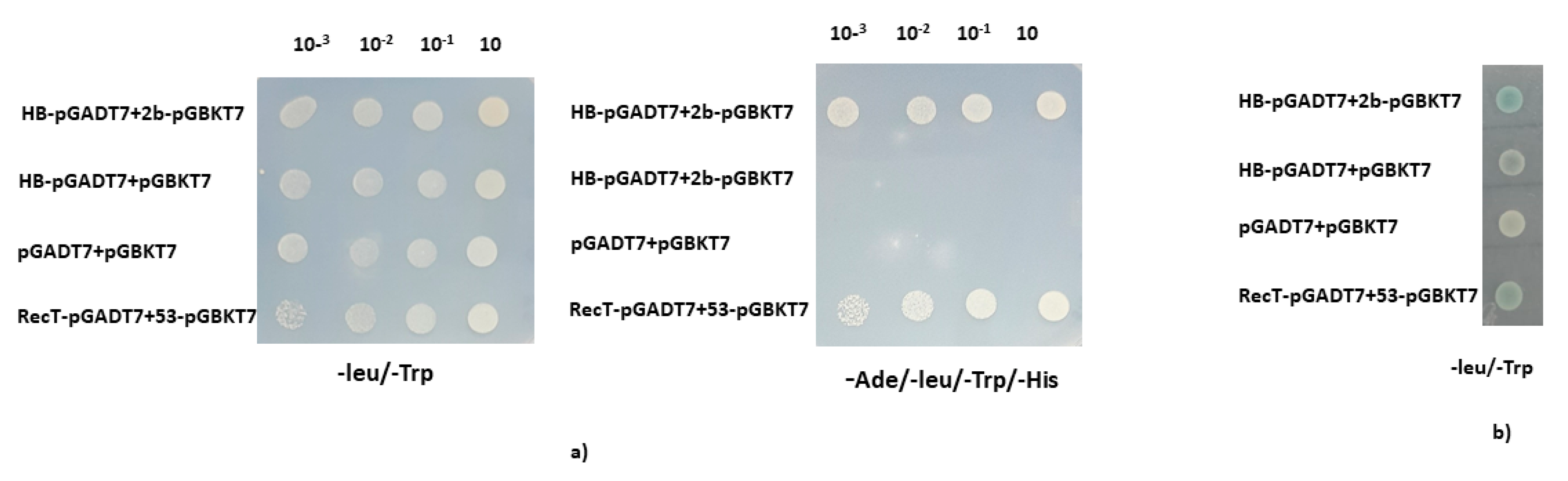 Pathogens 11 00788 g001 550