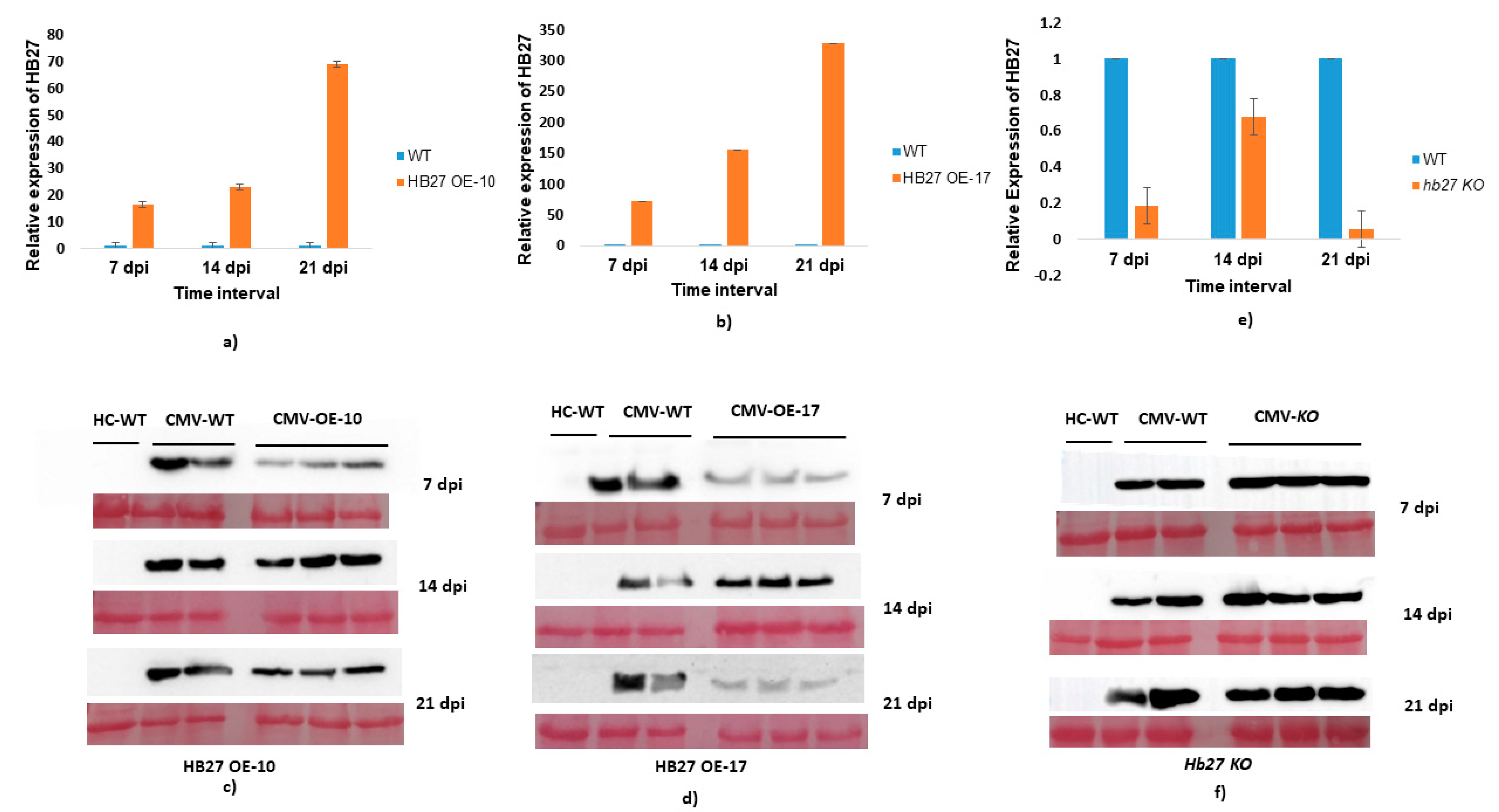 Pathogens 11 00788 g006 550