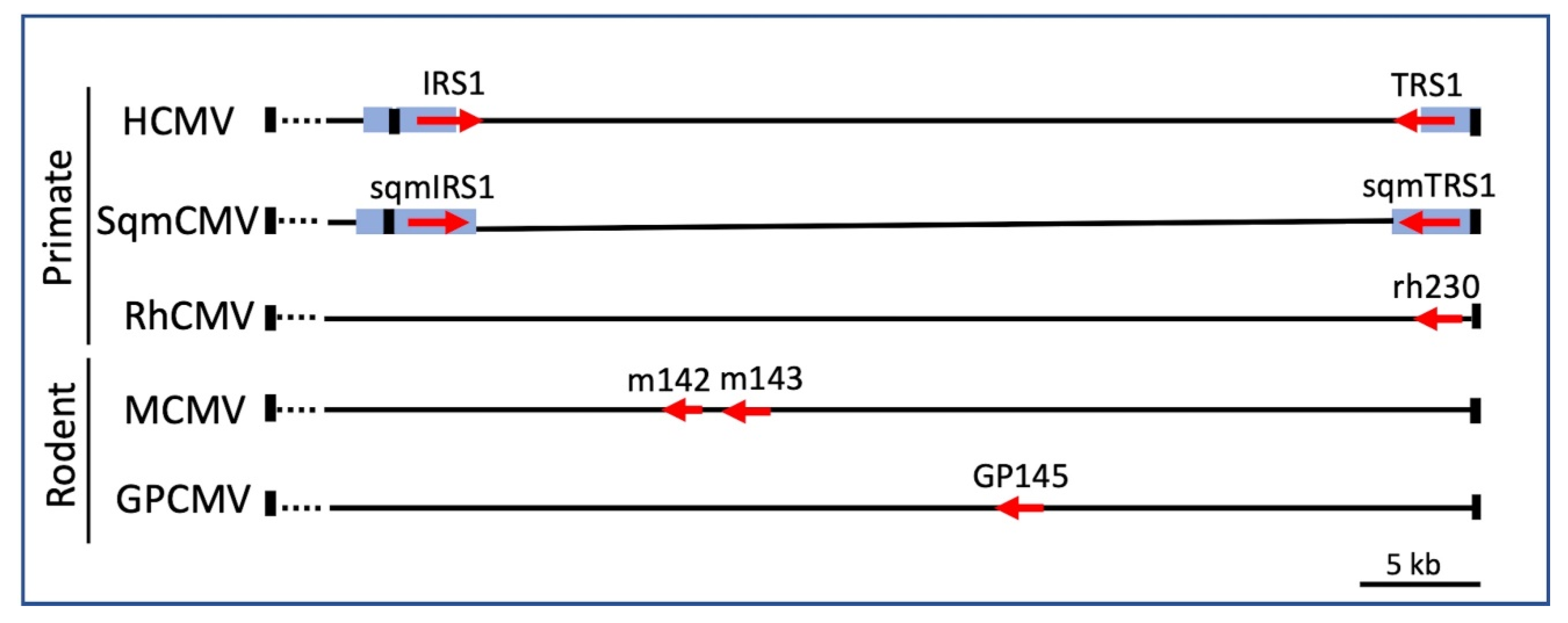Pathogens 11 00790 g002 Pathogens 11 00790 g002