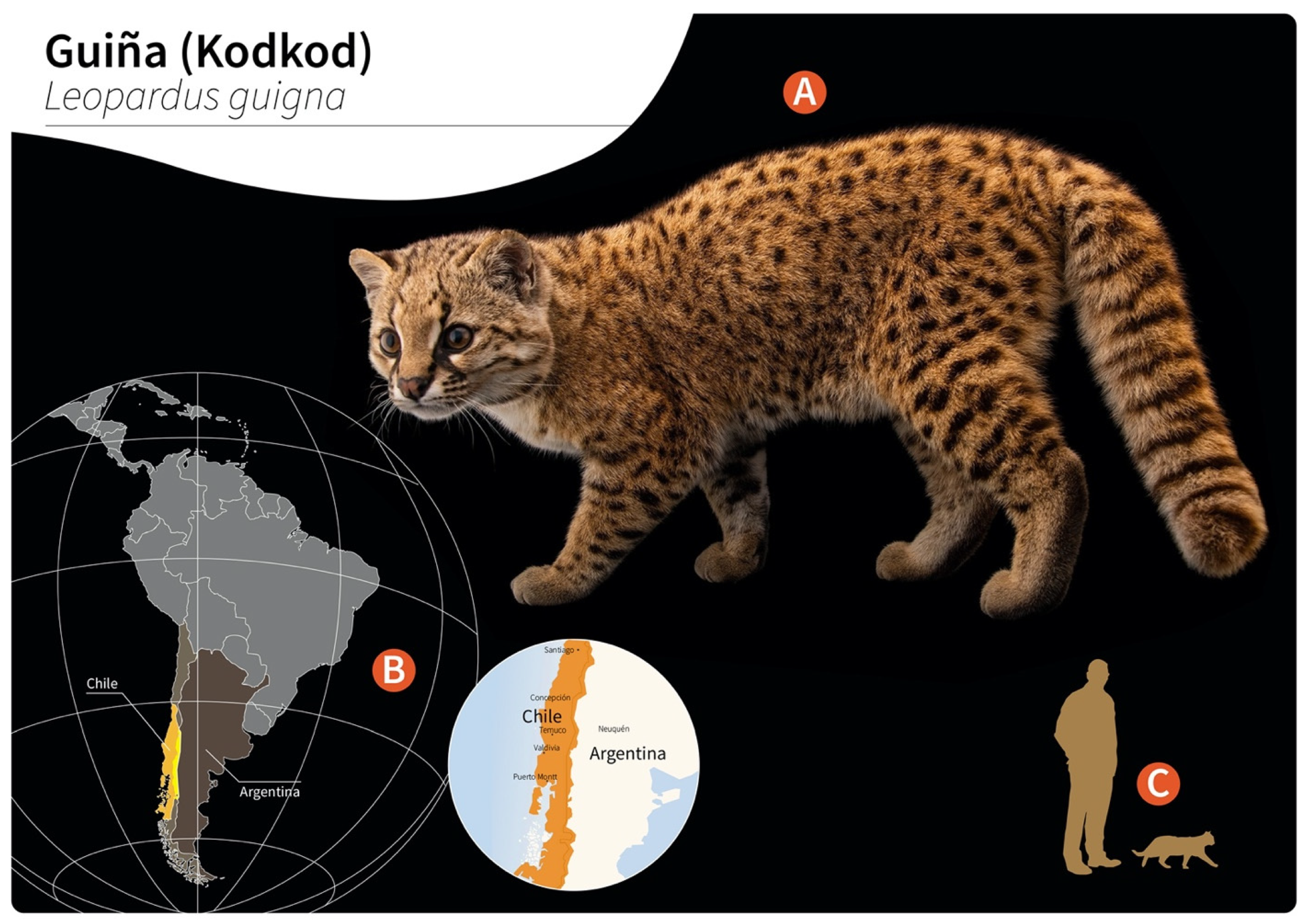 Pathogens 11 00792 g001 Pathogens 11 00792 g001