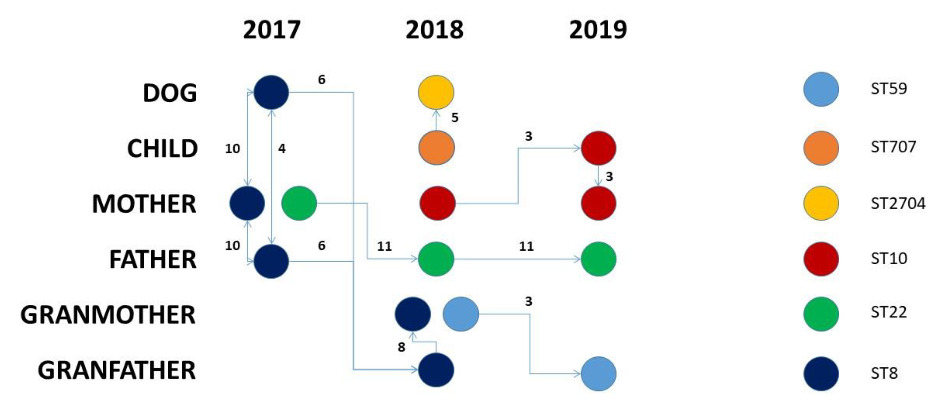 Pathogens 11 00802 g002 550