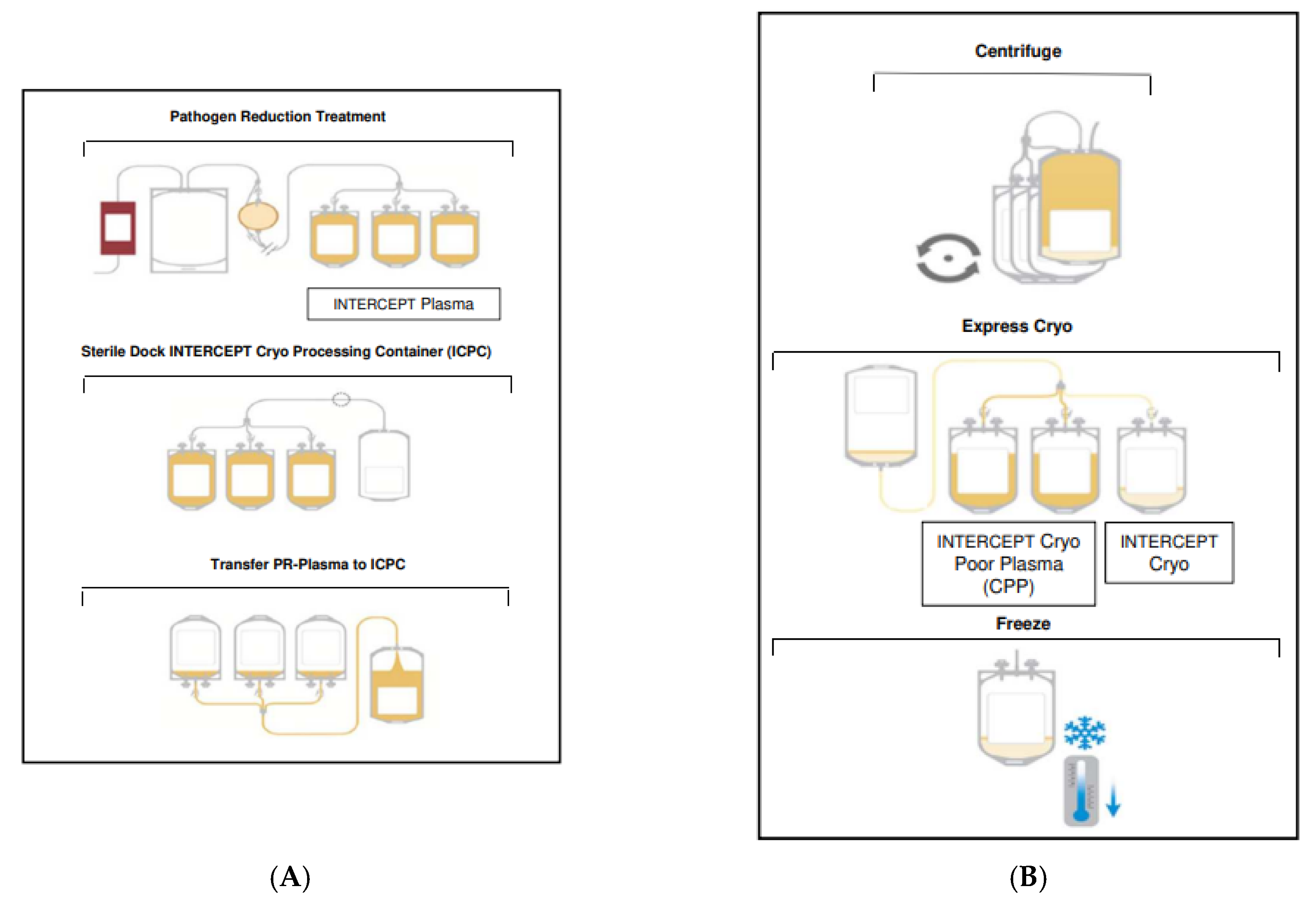 Pathogens 11 00805 g002