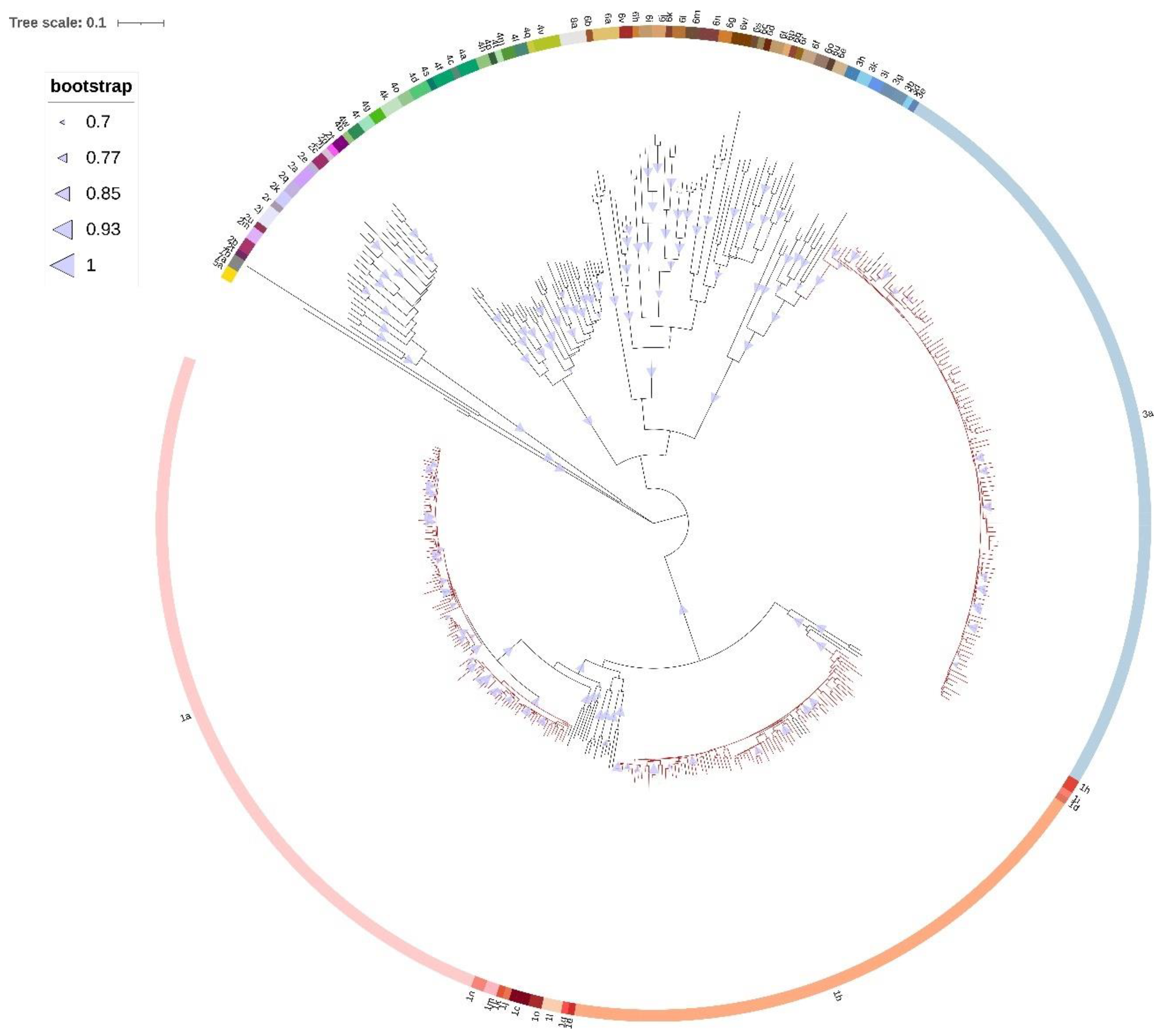 Pathogens 11 00808 g002