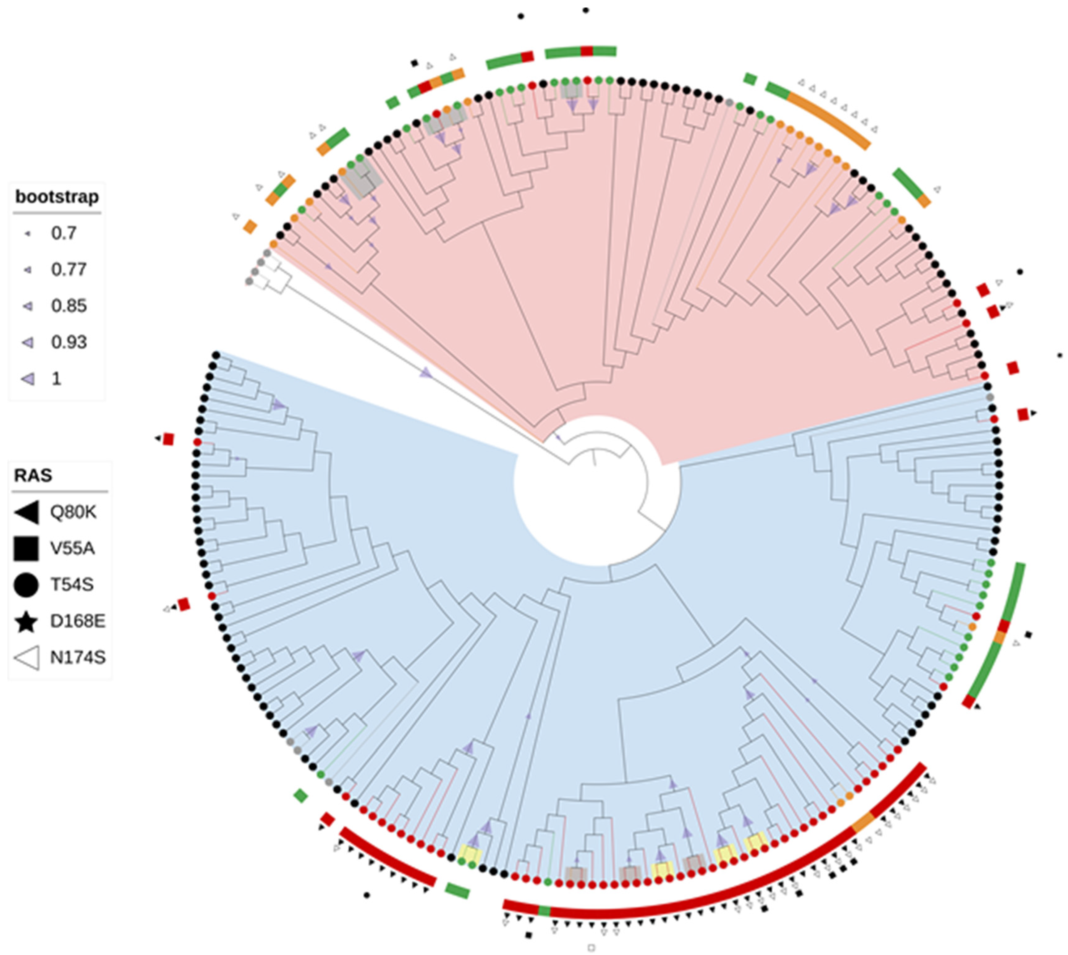 Pathogens 11 00808 g003