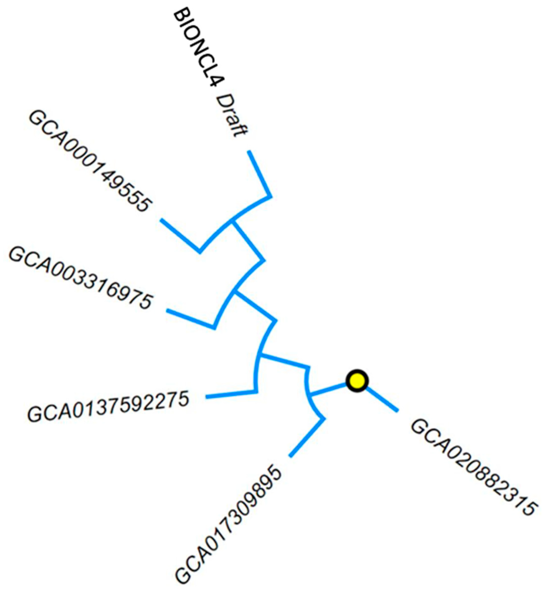 Pathogens 11 00810 g005