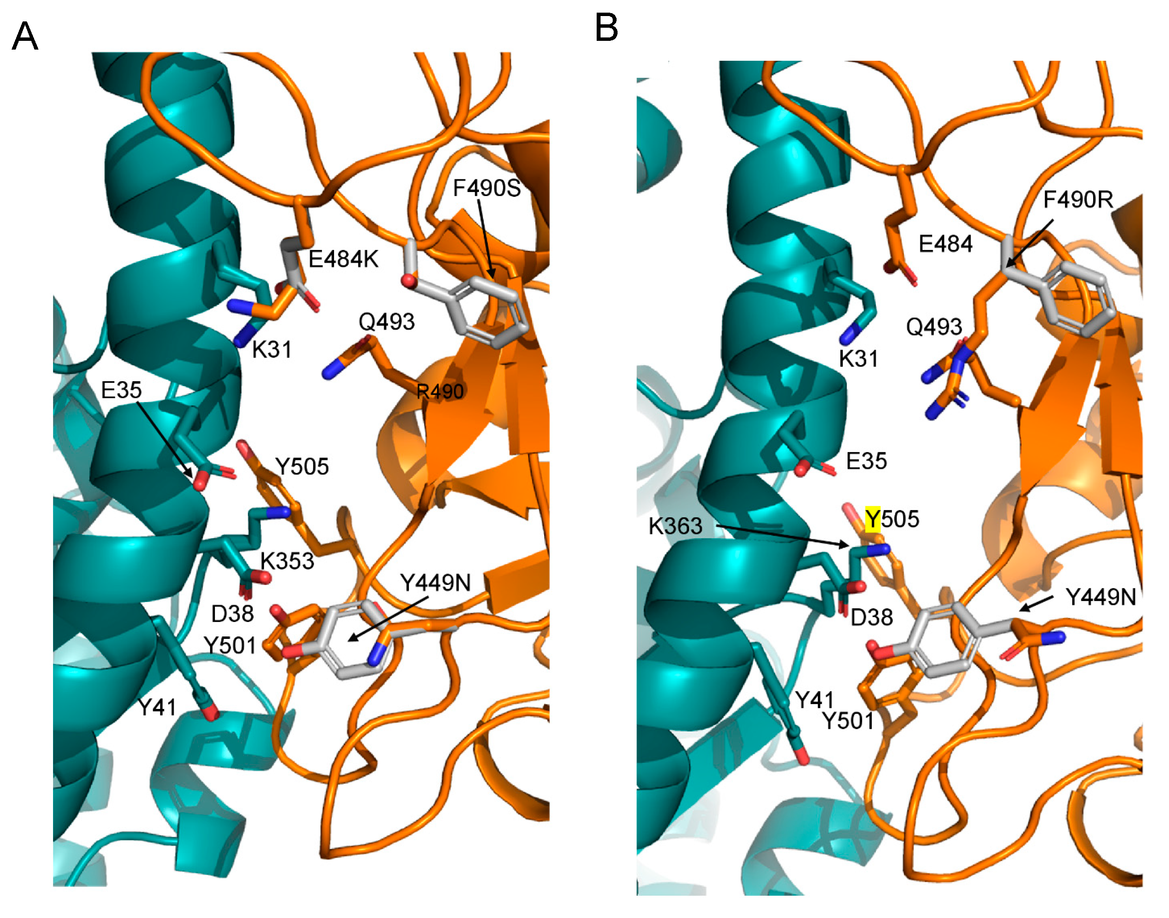 Pathogens 11 00814 g003