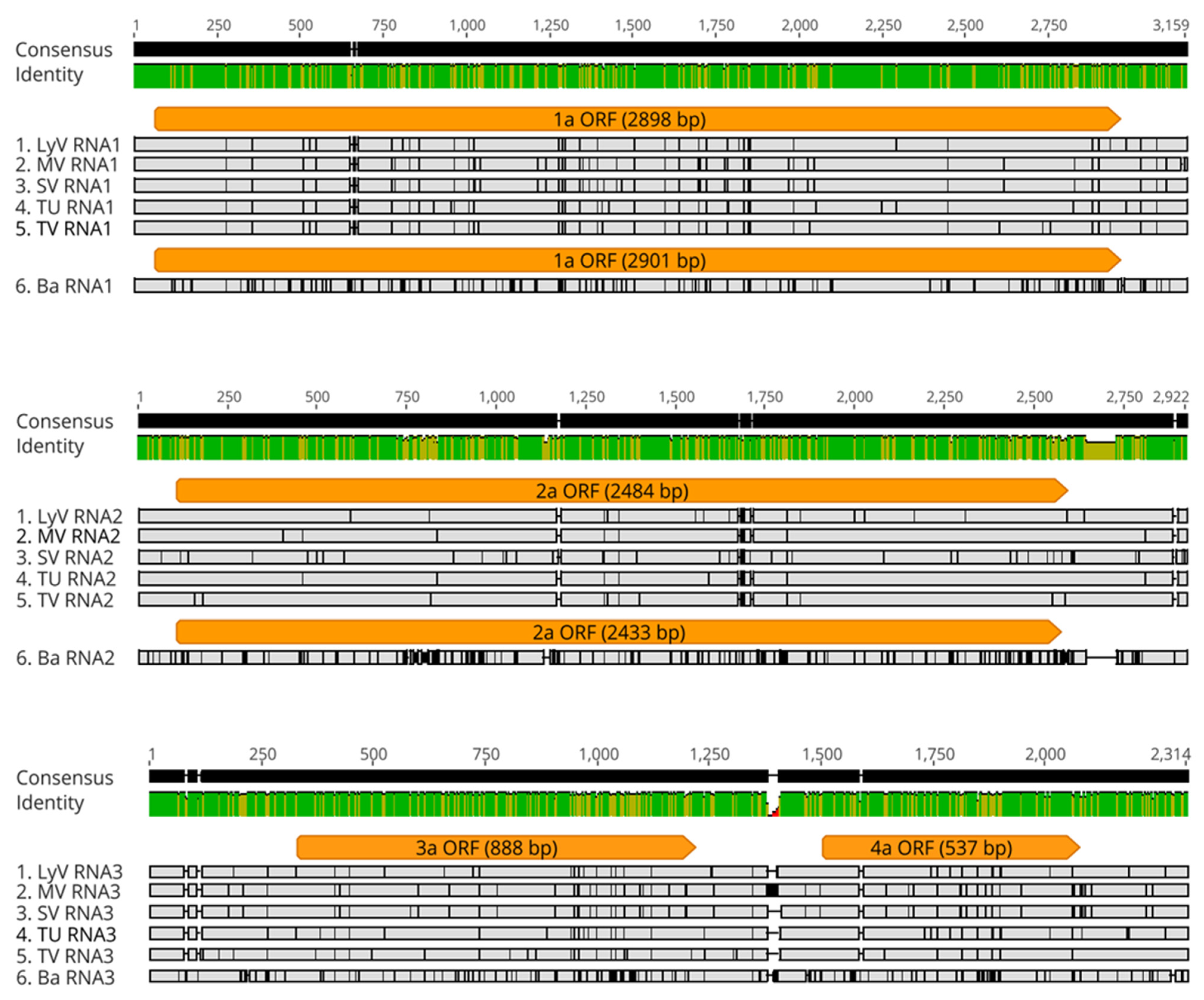 Pathogens 11 00817 g003