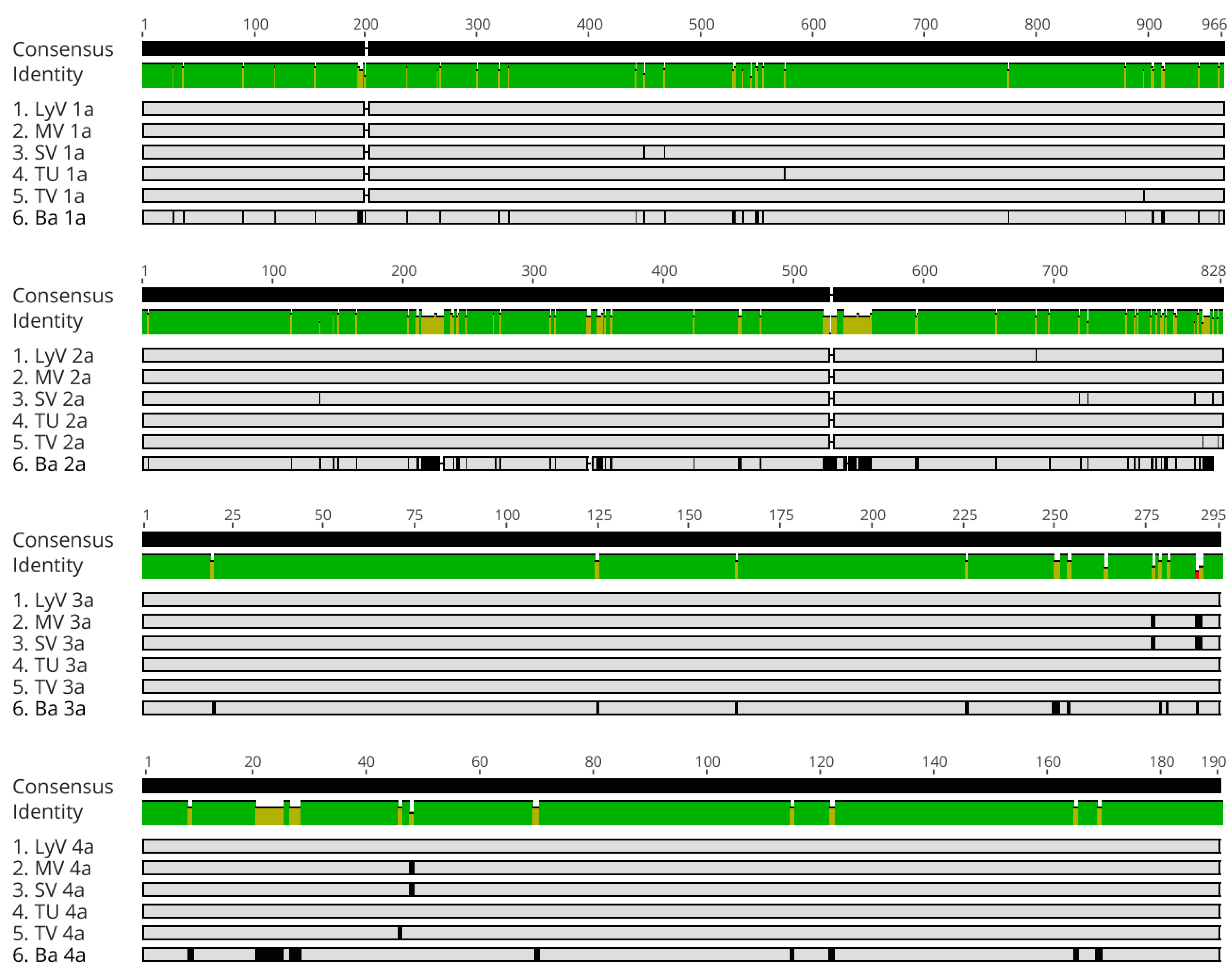Pathogens 11 00817 g005
