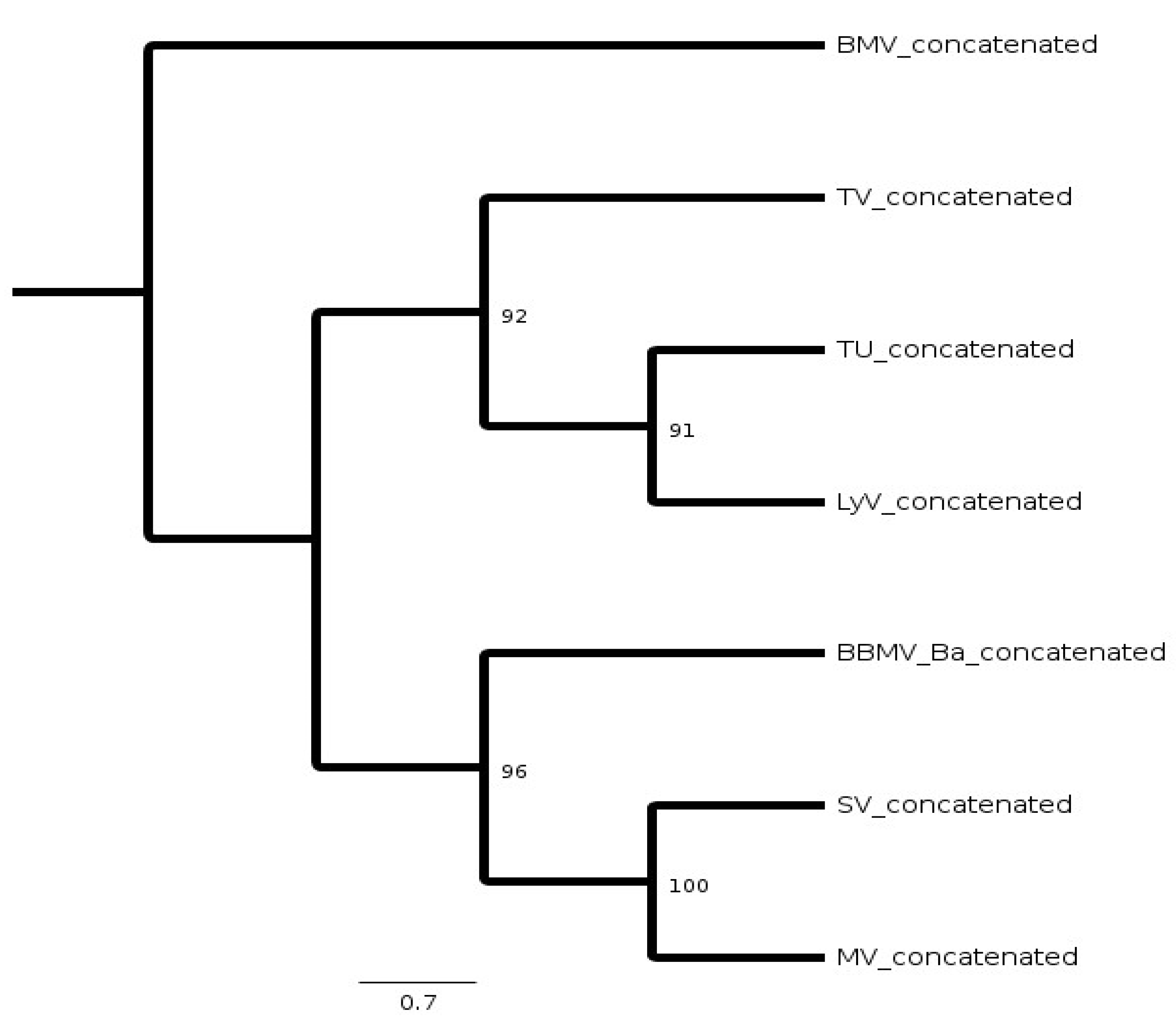 Pathogens 11 00817 g006