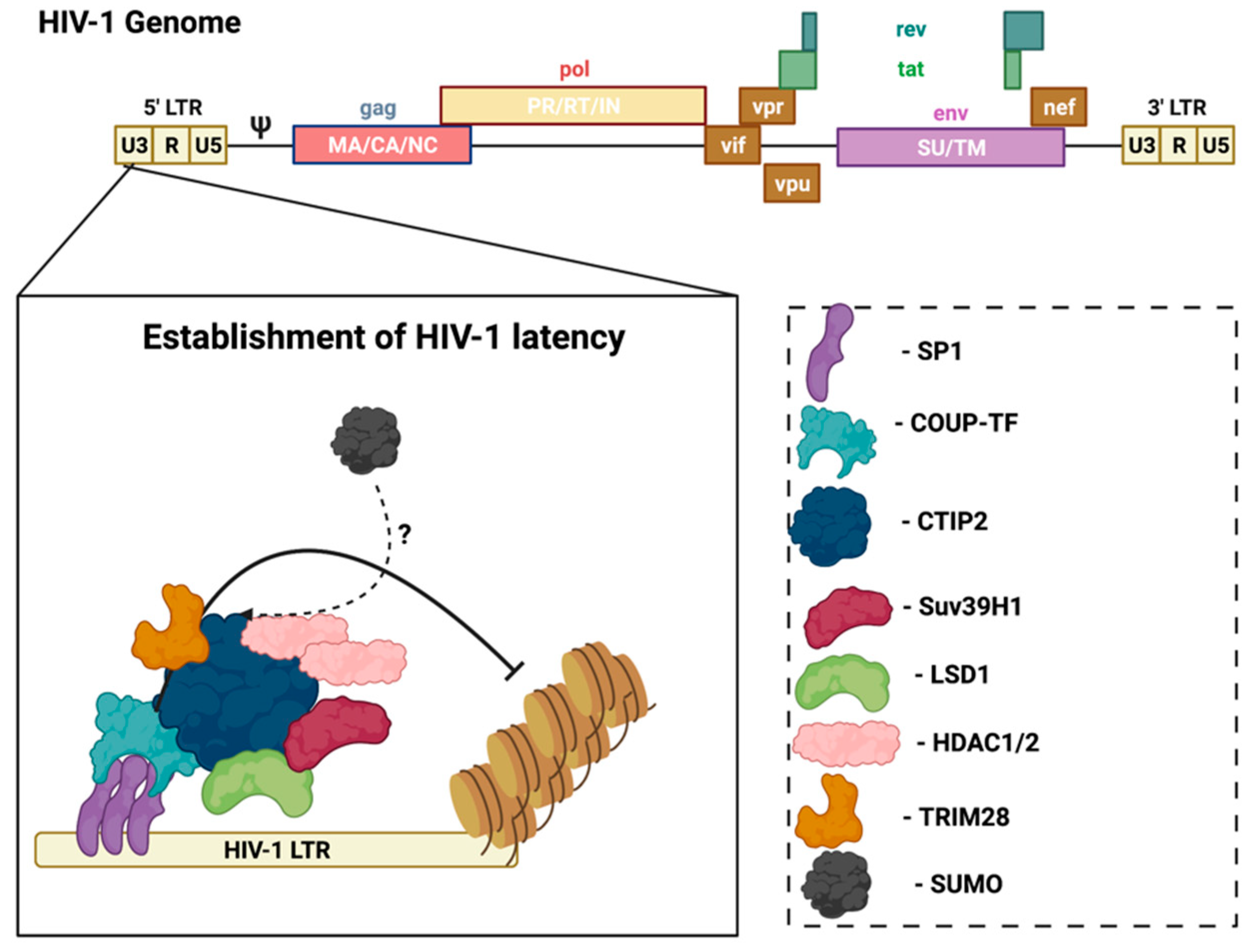 Pathogens 11 00818 g002 Pathogens 11 00818 g002