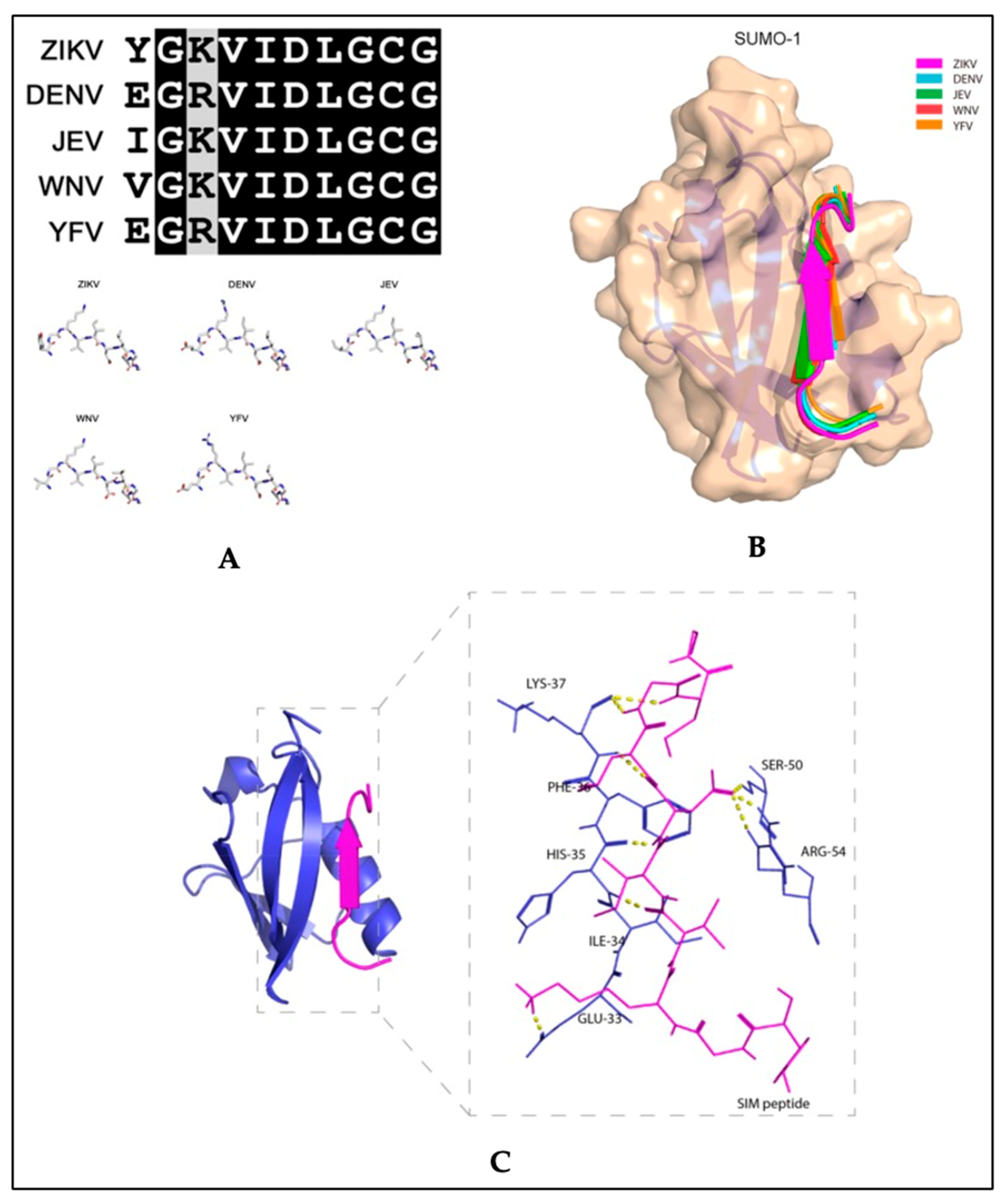 Pathogens 11 00818 g005 Pathogens 11 00818 g005