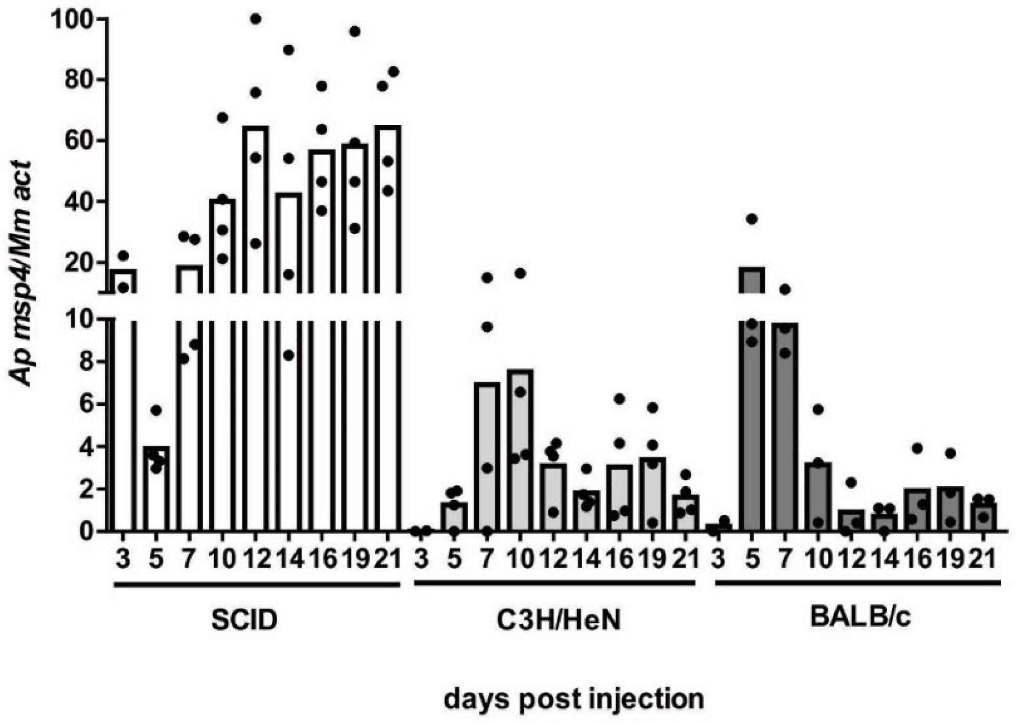 Pathogens 11 00820 g001